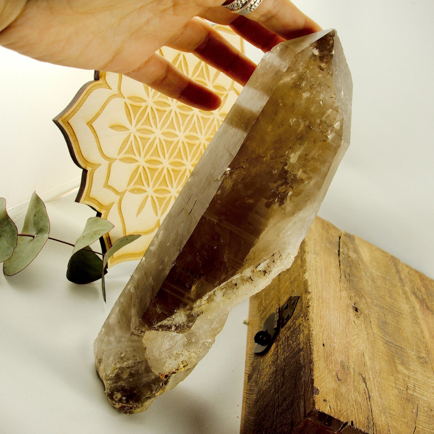Natural XXL Long Smoky Quartz Point With Self Healing & Record Keepers From Brazil - Earth Family Crystals