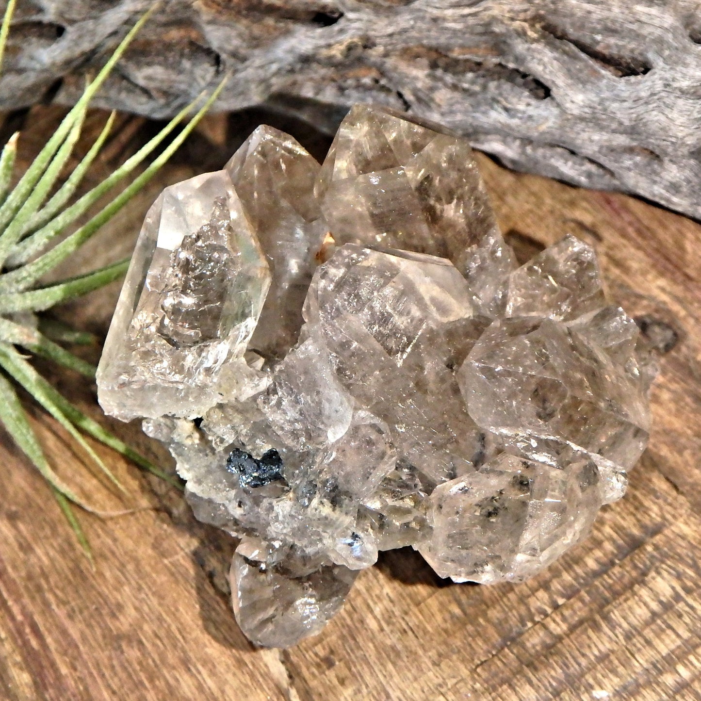Gorgeous Golden Rutile and Black Hematite Included Smoky Quartz Cluster From Brazil - Earth Family Crystals