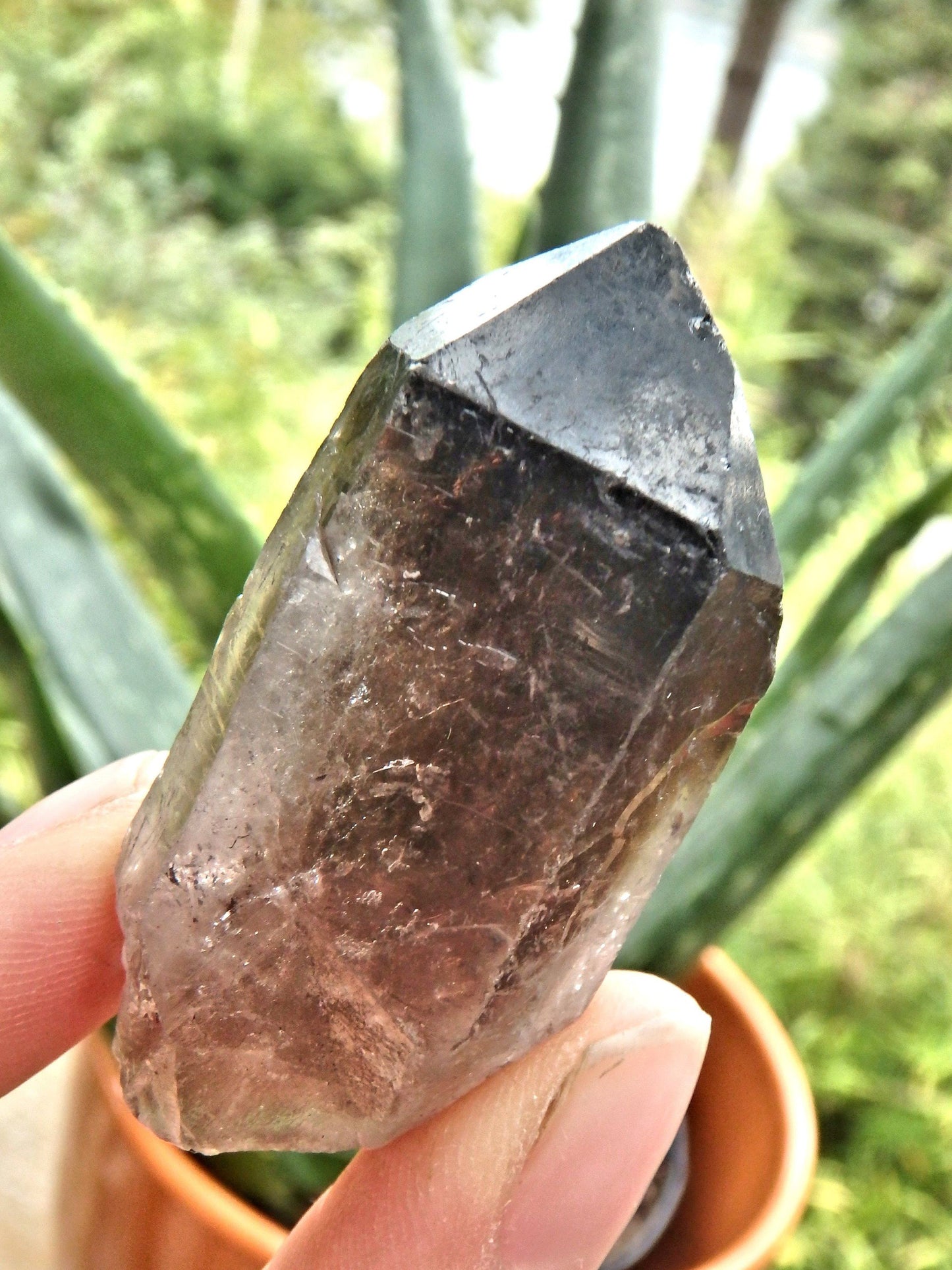  Deep Brown Smoky Quartz Natural Point From Brazil1