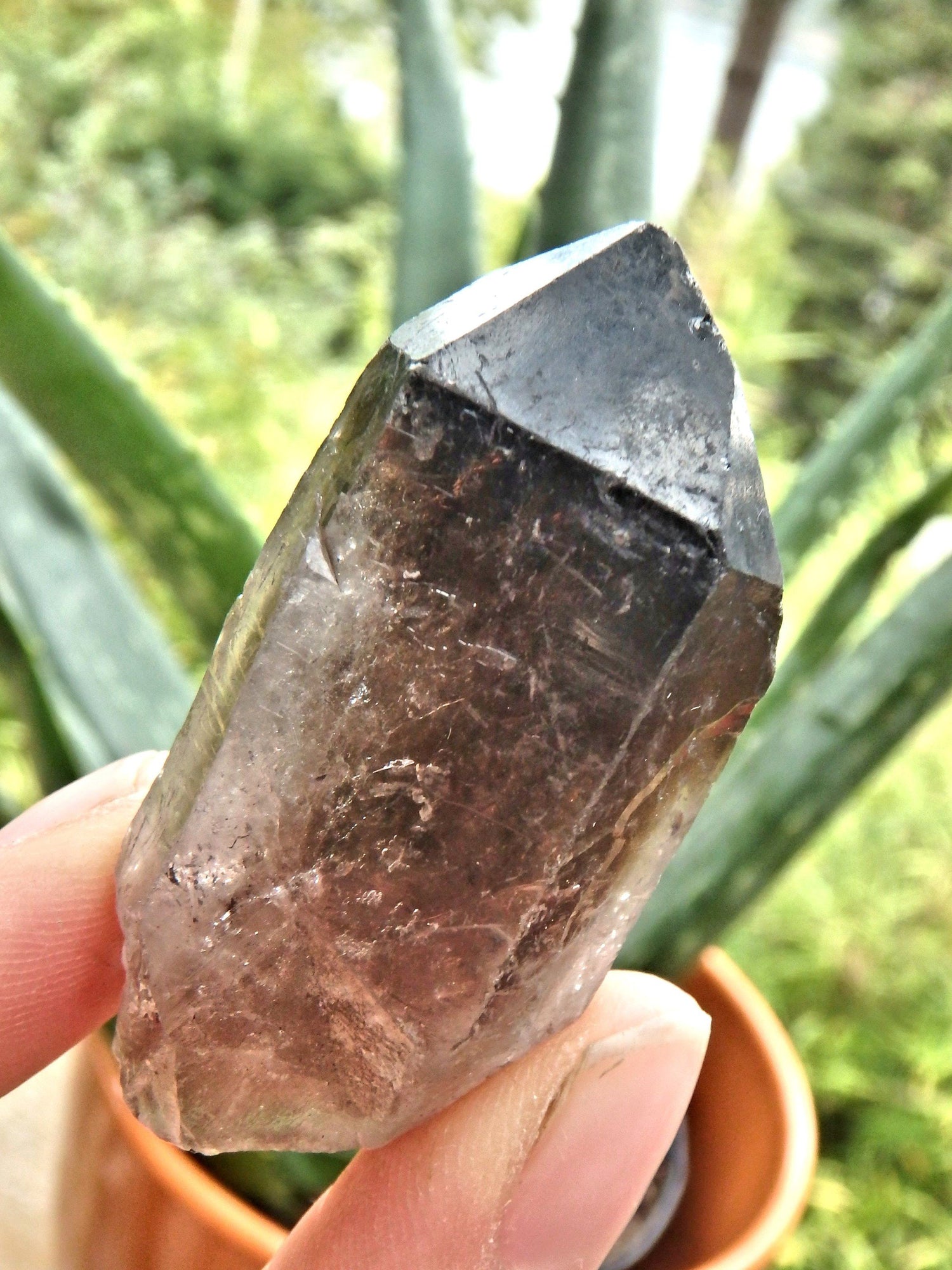  Deep Brown Smoky Quartz Natural Point From Brazil1