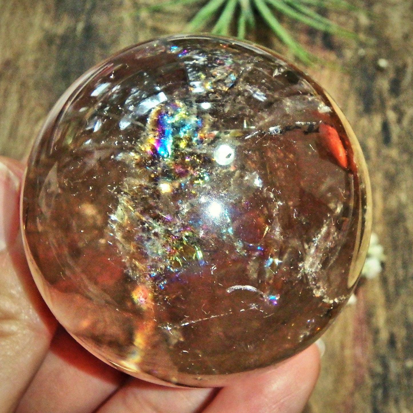  Breathtaking Unique Inner Child Point & Rainbows Smoky Quartz Sphere Carving