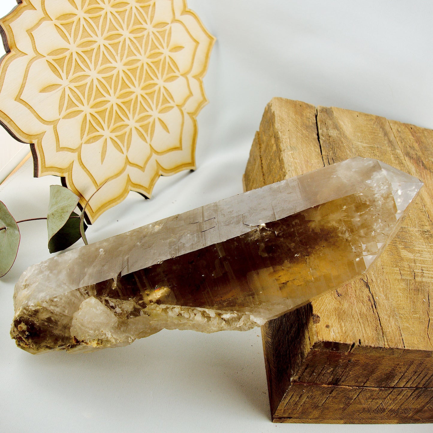 Natural XXL Long Smoky Quartz Point With Self Healing & Record Keepers From Brazil - Earth Family Crystals