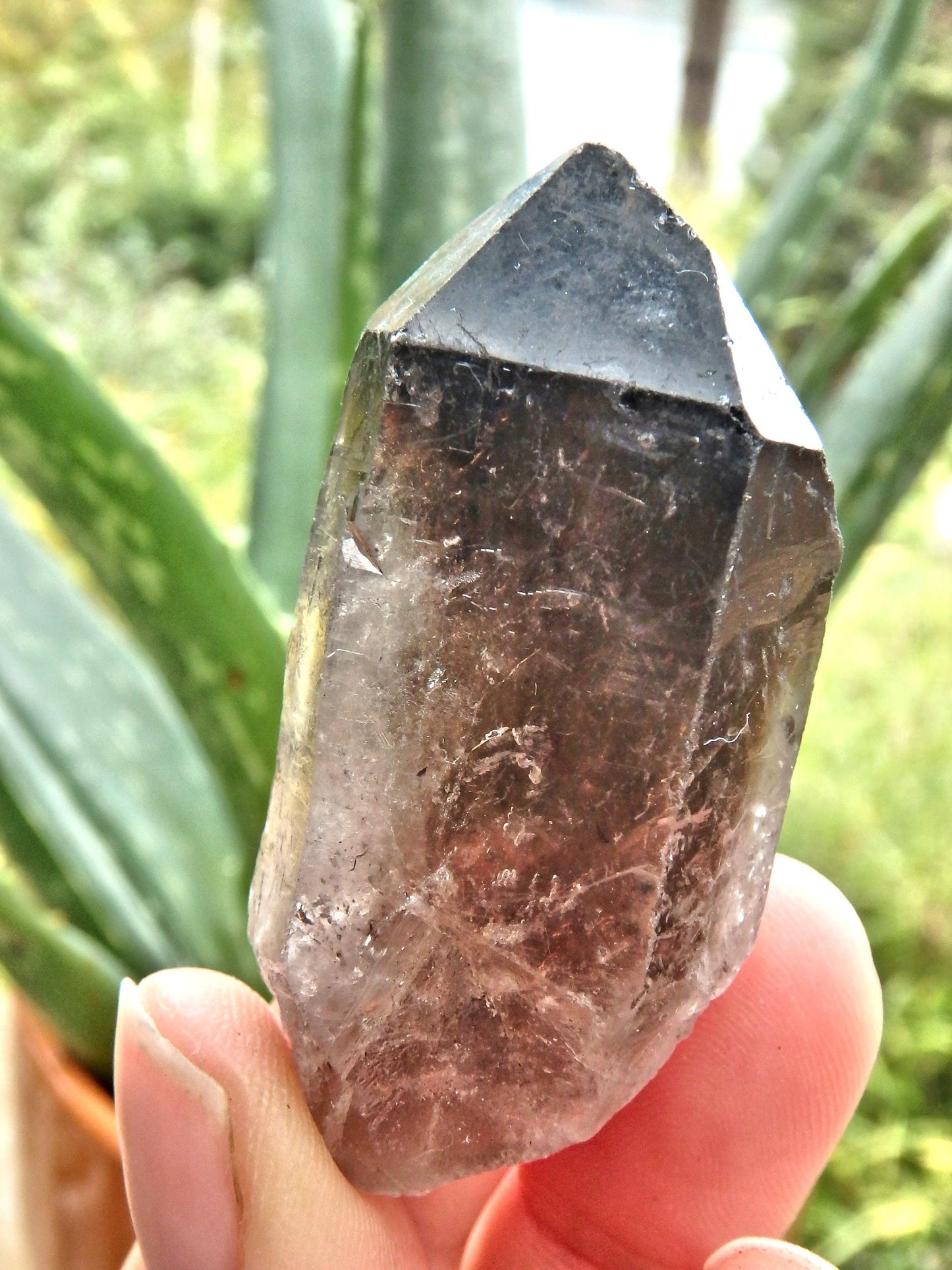  Deep Brown Smoky Quartz Natural Point From Brazil1