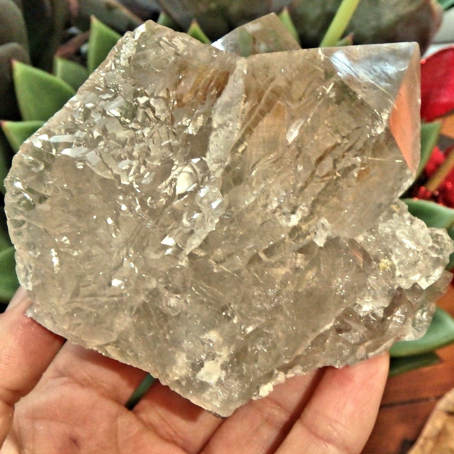 Incredible Rutilated Smoky Quartz Self Healed Elestial Large Cluster From Brazil