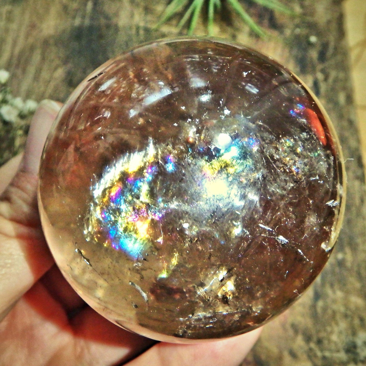  Breathtaking Unique Inner Child Point & Rainbows Smoky Quartz Sphere Carving