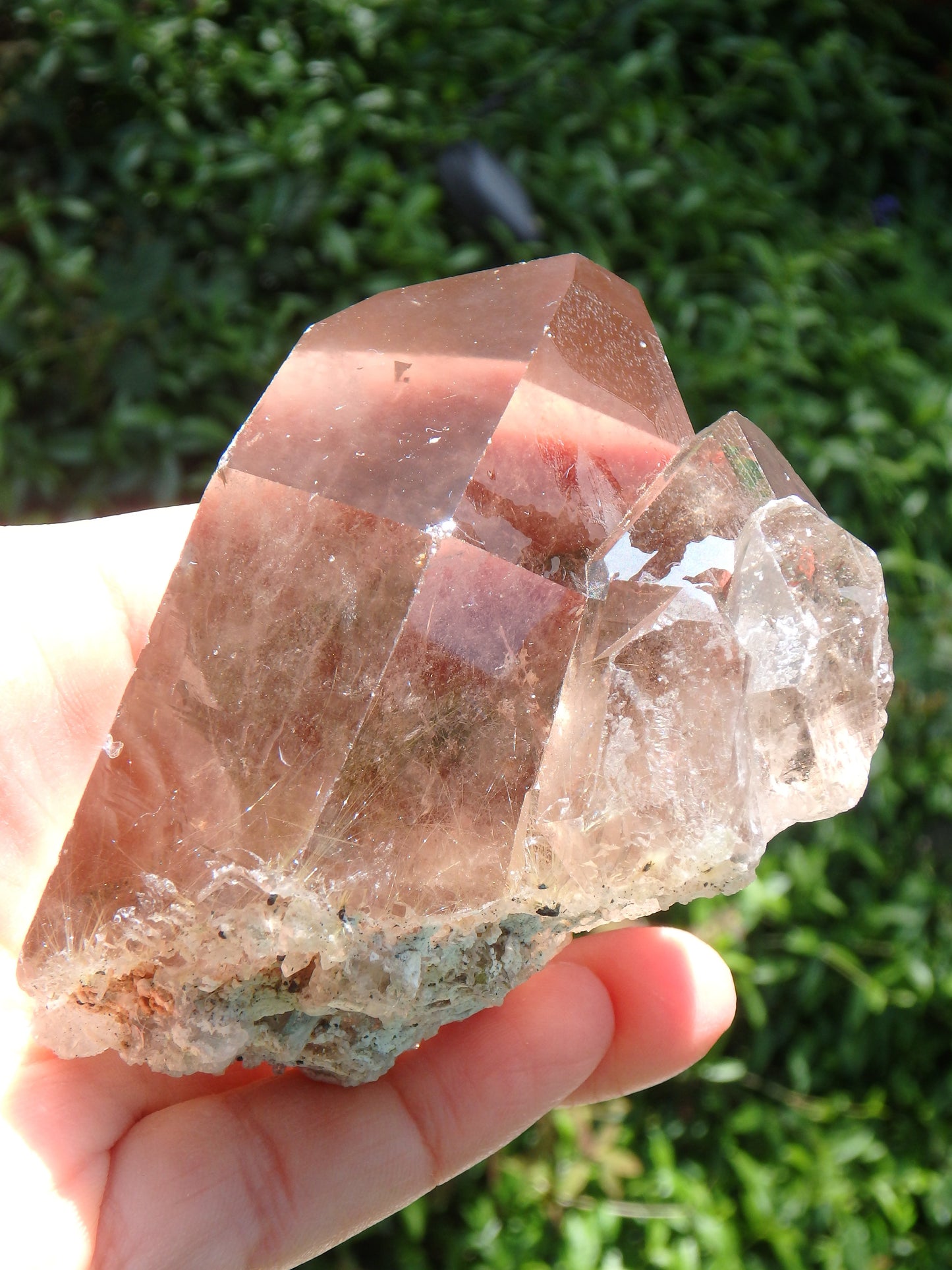 Intricate Multi Point Smoky Quartz Cluster With Golden Rutile Threads - Earth Family Crystals