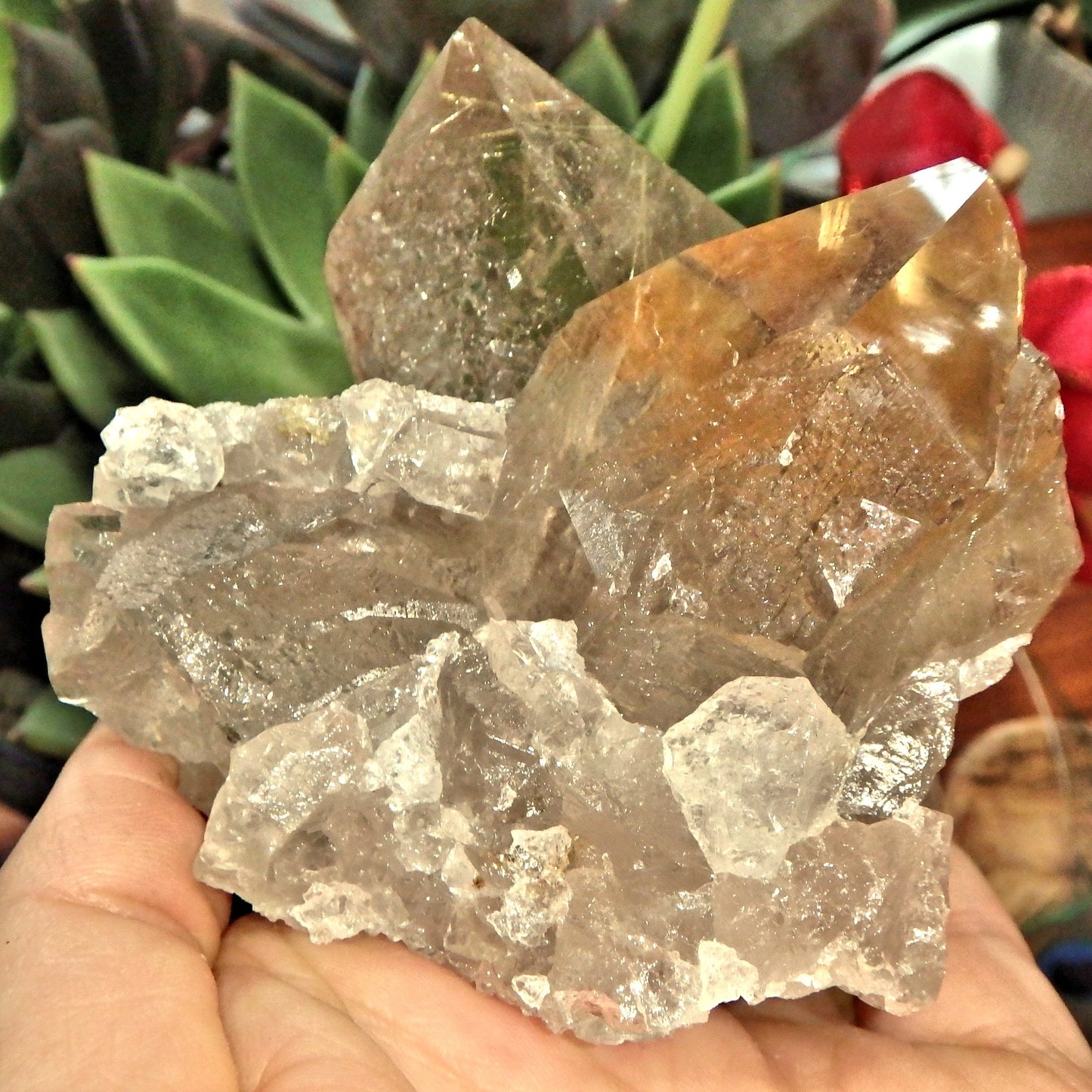 Incredible Rutilated Smoky Quartz Self Healed Elestial Large Cluster From Brazil