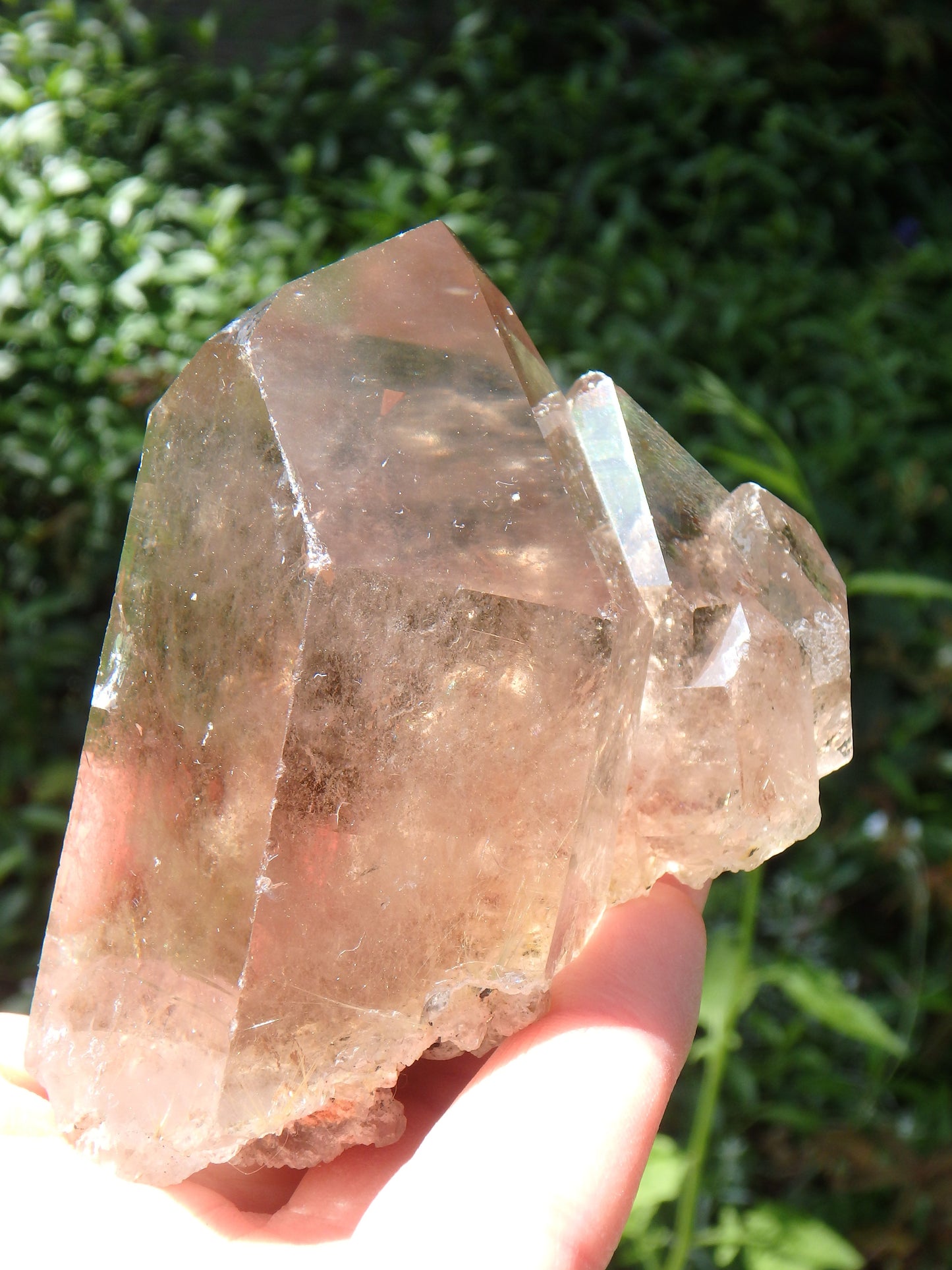 Intricate Multi Point Smoky Quartz Cluster With Golden Rutile Threads - Earth Family Crystals