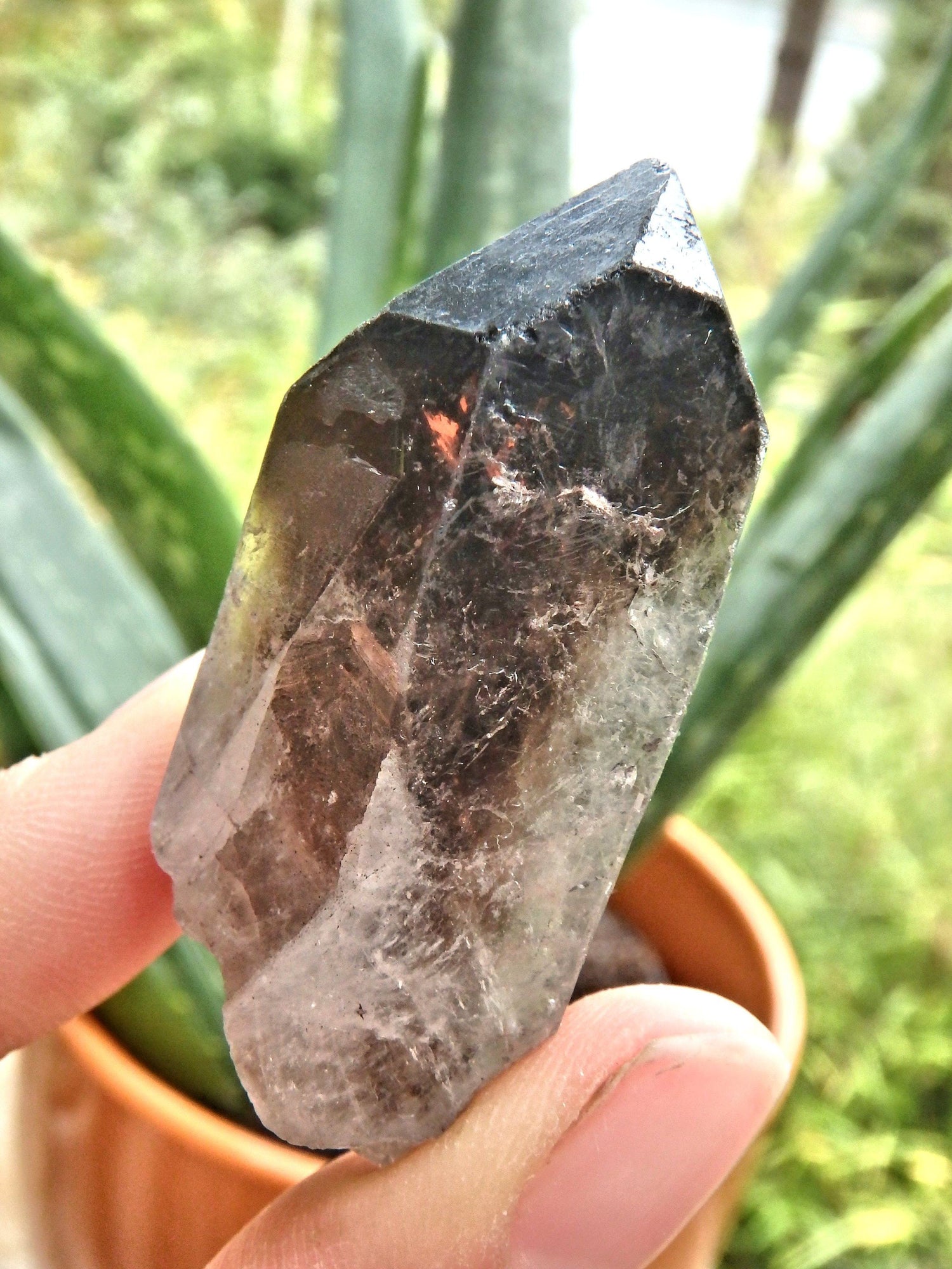  Deep Brown Smoky Quartz Natural Point From Brazil1