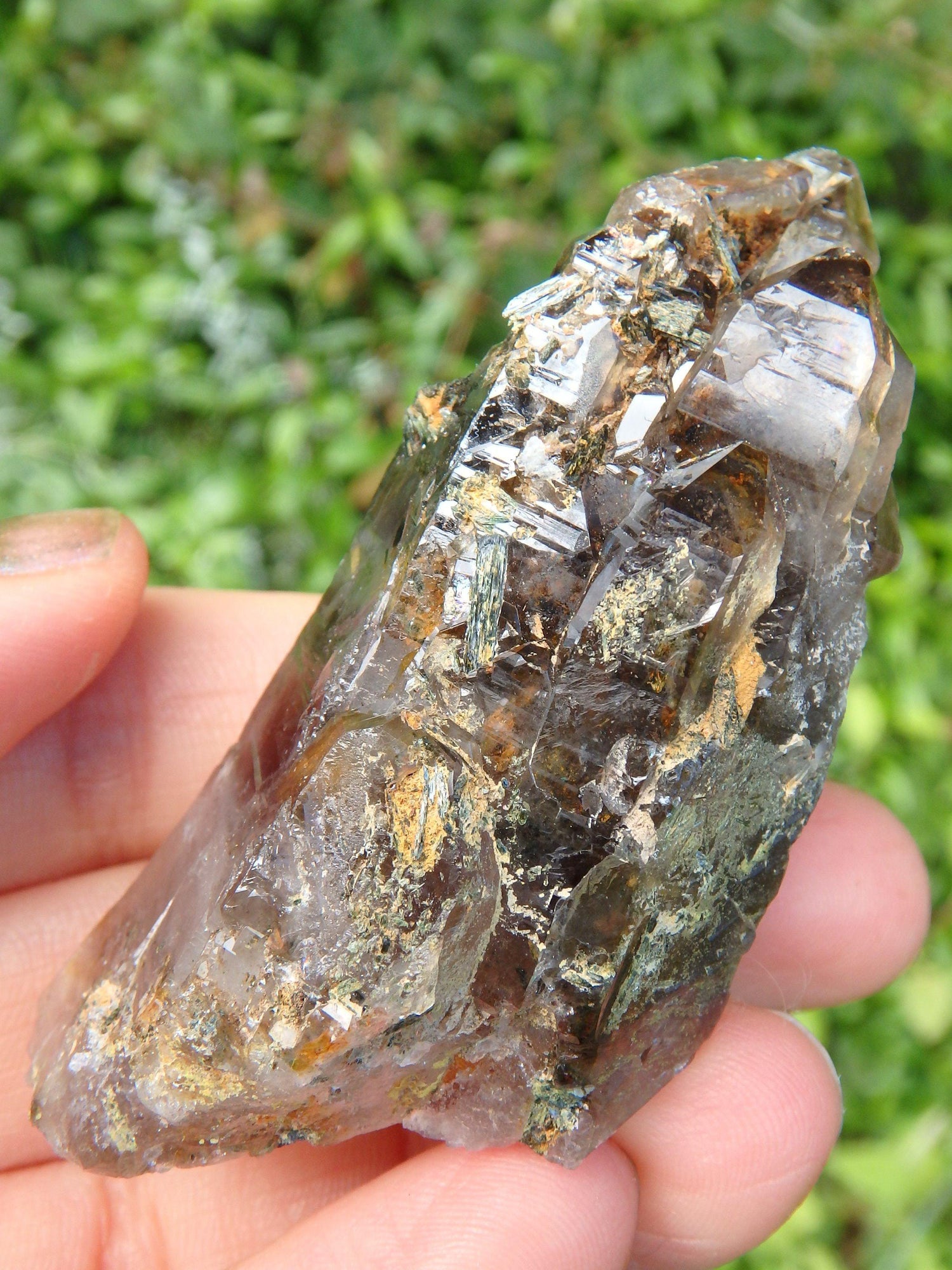  Brilliant Elestial Smoky Quartz With Forest Green Epidote Blades Nestled Inside