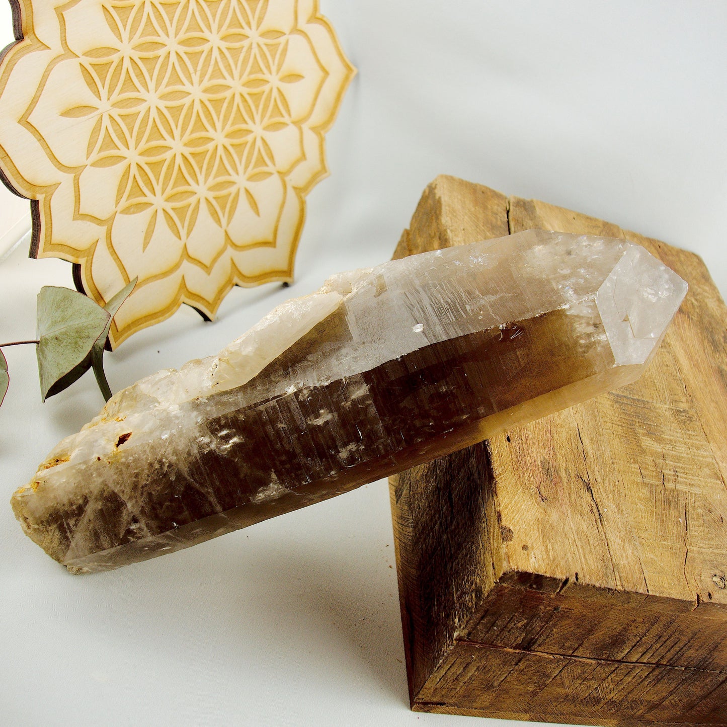 Natural XXL Long Smoky Quartz Point With Self Healing & Record Keepers From Brazil - Earth Family Crystals