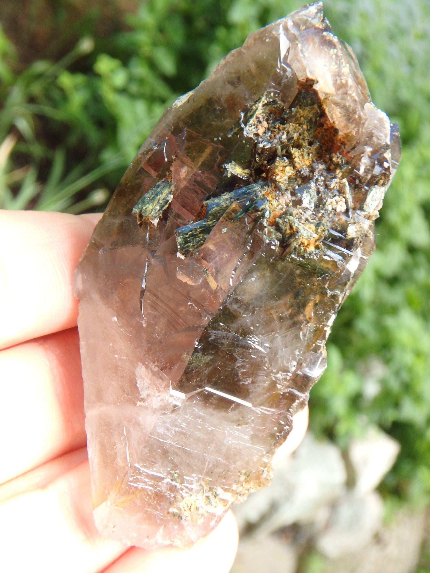  Brilliant Elestial Smoky Quartz With Forest Green Epidote Blades Nestled Inside