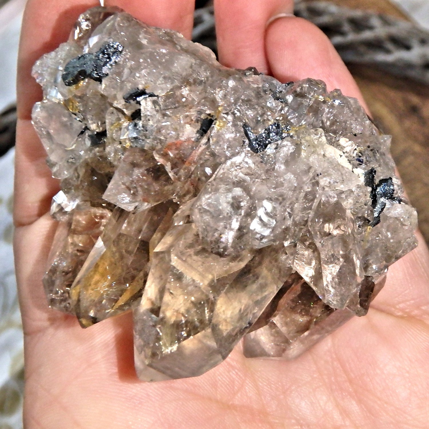 Gorgeous Golden Rutile and Black Hematite Included Smoky Quartz Cluster From Brazil - Earth Family Crystals