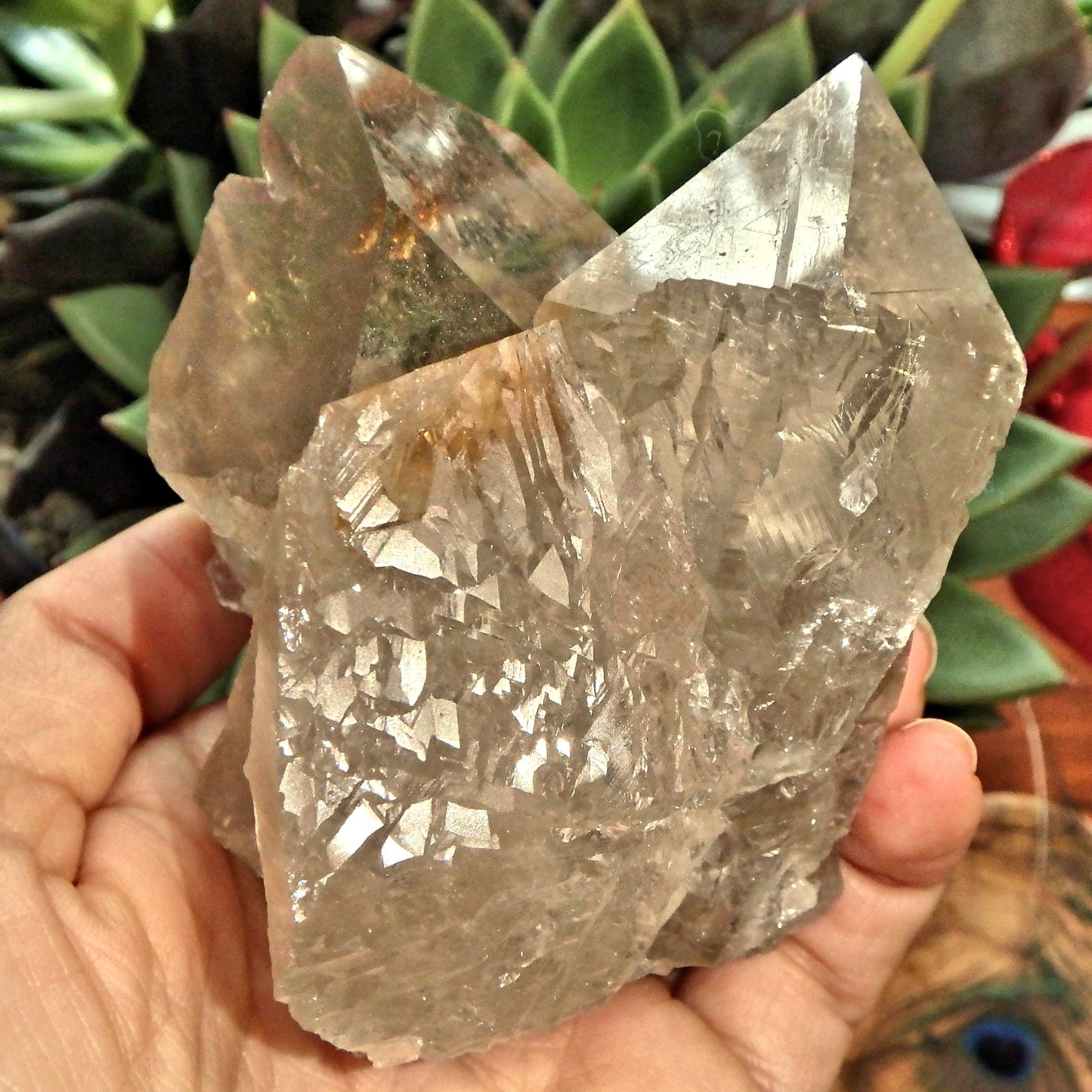 Incredible Rutilated Smoky Quartz Self Healed Elestial Large Cluster From Brazil