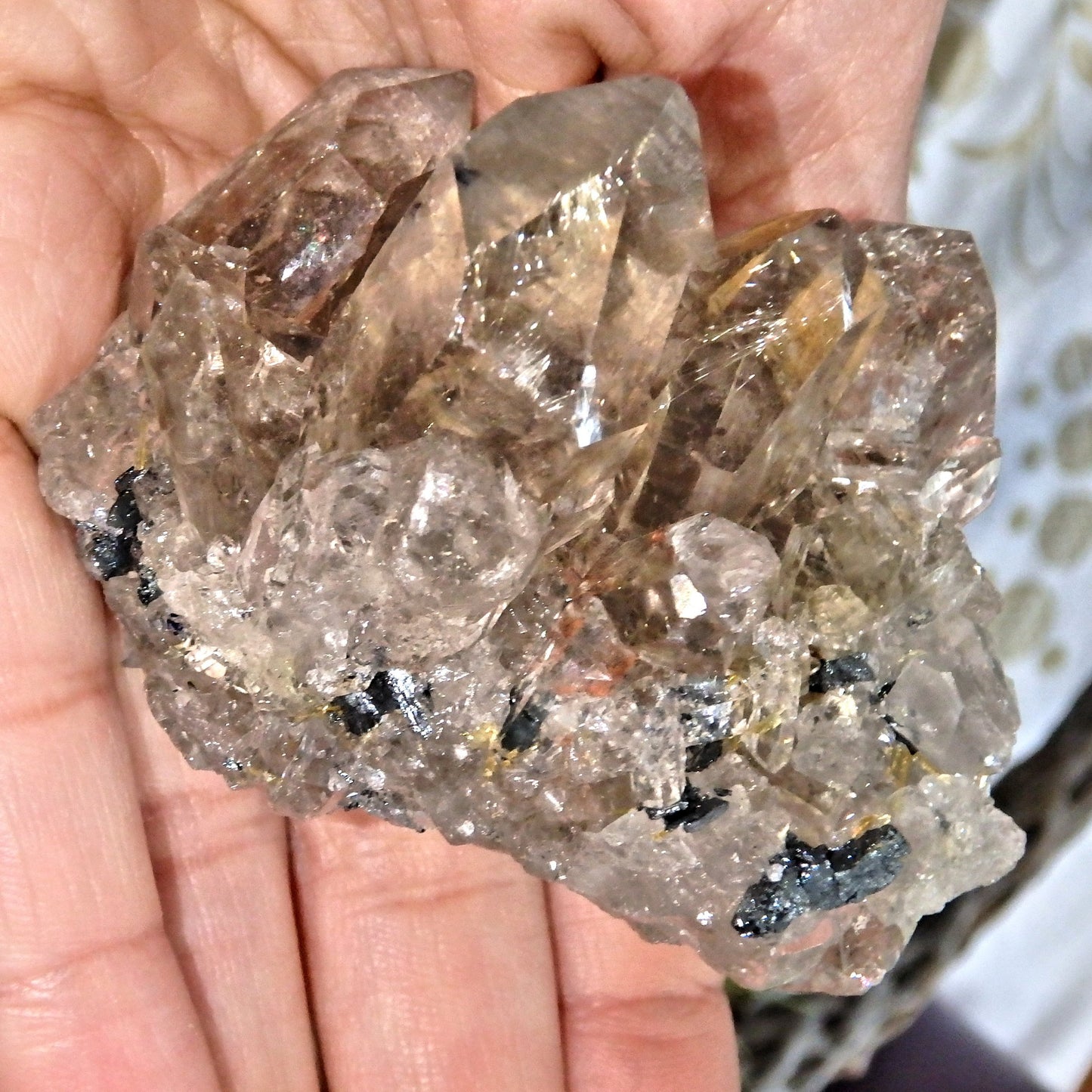 Gorgeous Golden Rutile and Black Hematite Included Smoky Quartz Cluster From Brazil - Earth Family Crystals