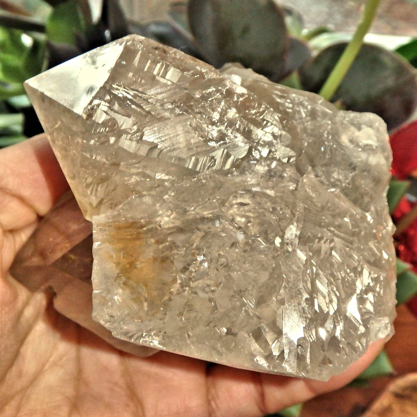 Incredible Rutilated Smoky Quartz Self Healed Elestial Large Cluster From Brazil