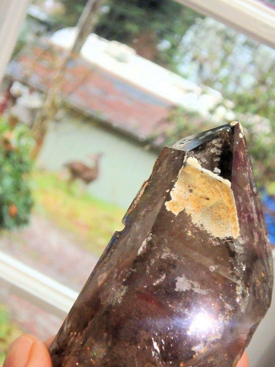  Brilliant Self Healed Natural Smoky Quartz With Attached Baby Specimen From Malawi