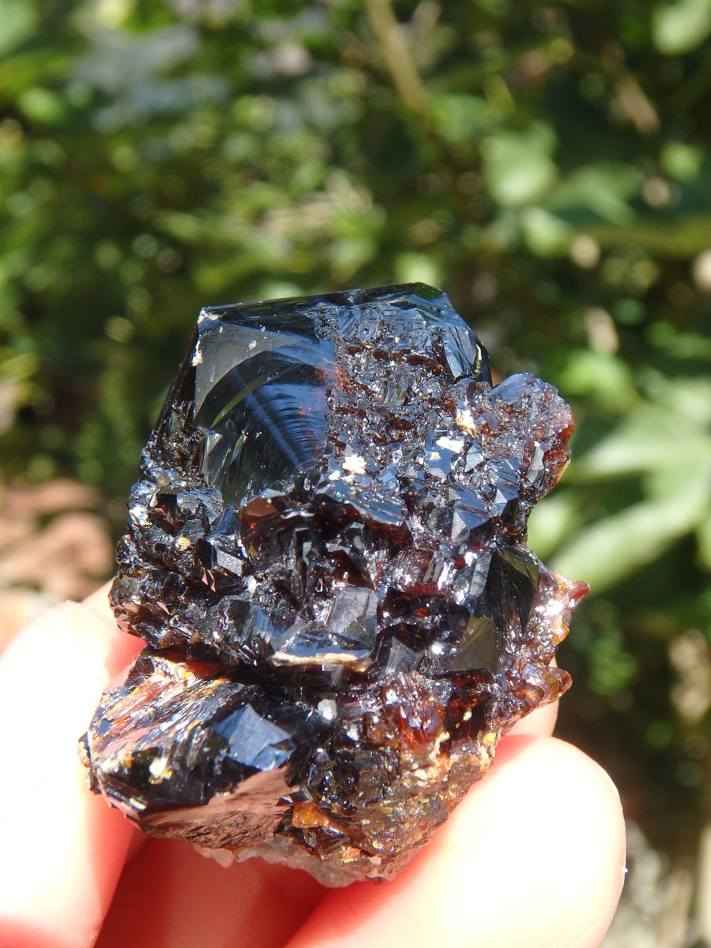 Shiny Deep Burgundy Sphalerite Specimen From Elmwood Mine - Metiz Tier Price