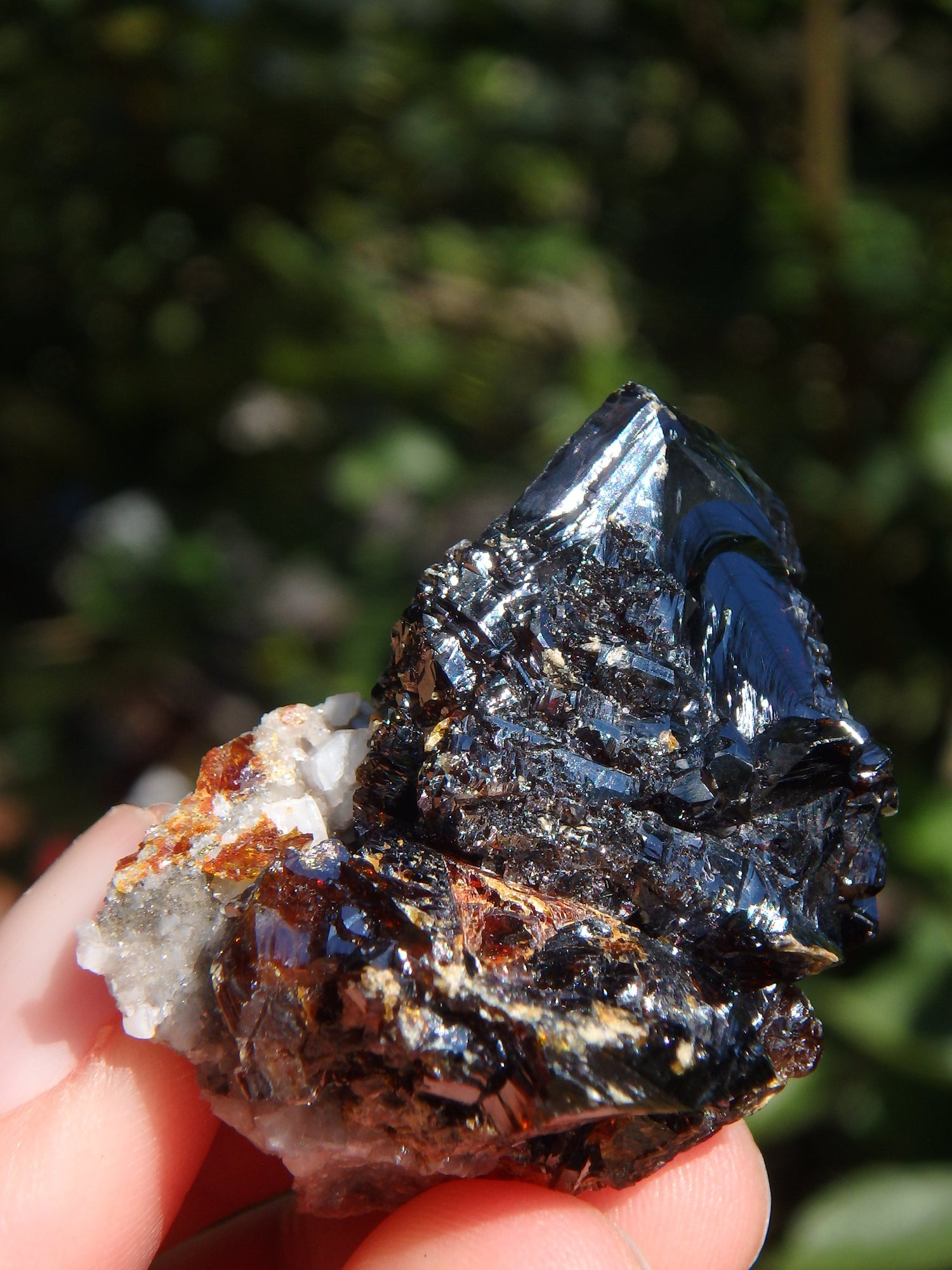 Shiny Deep Burgundy Sphalerite Specimen From Elmwood Mine - Metiz Tier Price