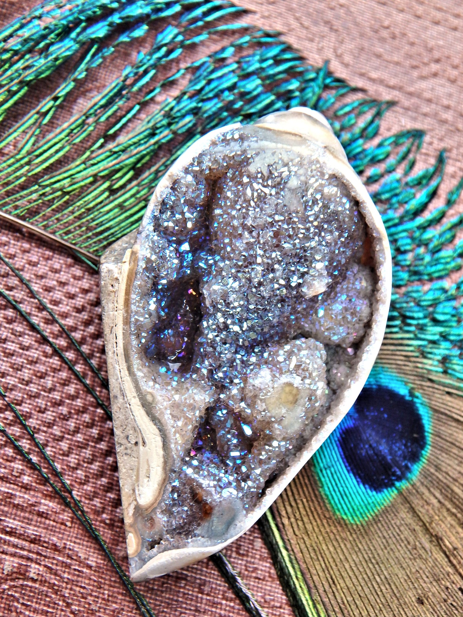 Fabulous Sparkles Aura Infused Spiralite Gemshell From India - Earth Family Crystals