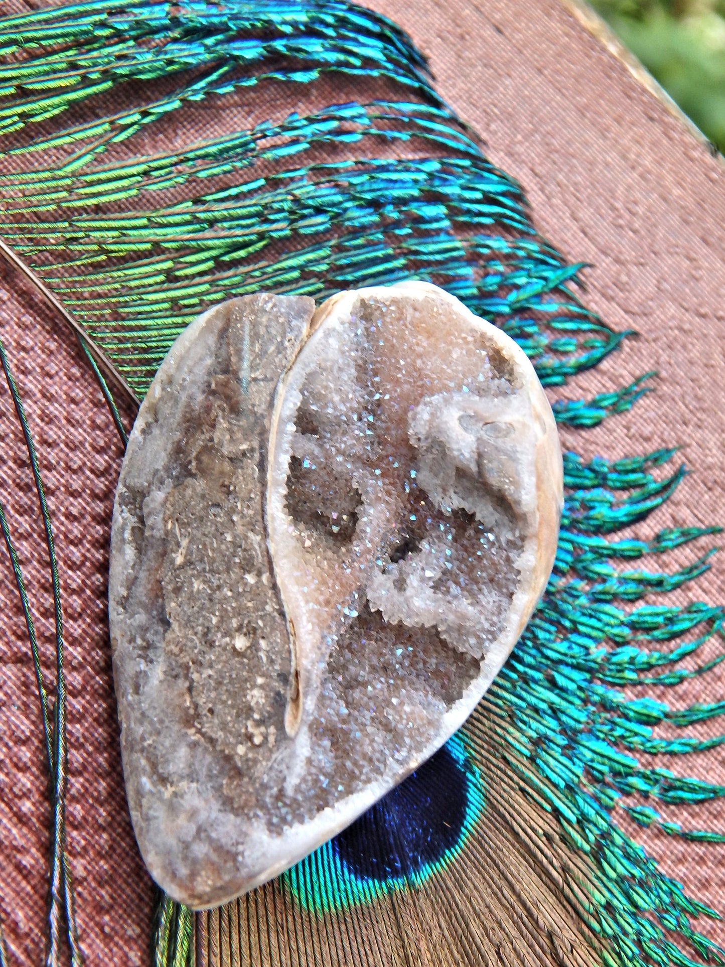 Incredible Fossil & Crystal in One Druzy Sparkle Spiralite Gemshell From India - Earth Family Crystals