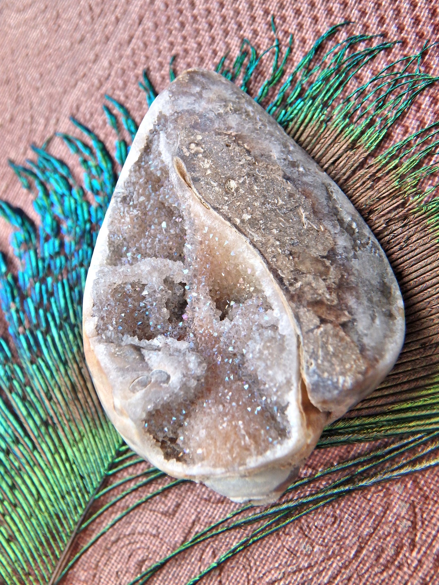 Incredible Fossil & Crystal in One Druzy Sparkle Spiralite Gemshell From India - Earth Family Crystals