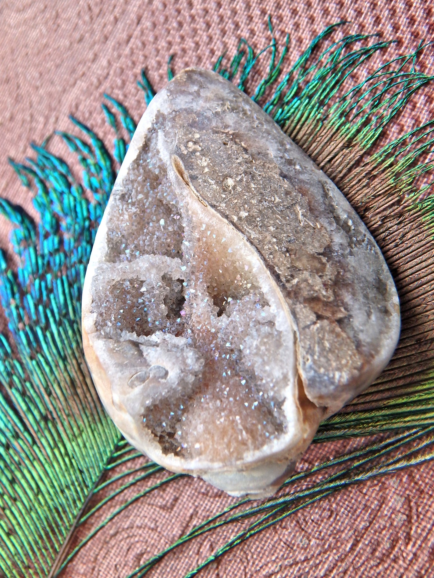 Incredible Fossil & Crystal in One Druzy Sparkle Spiralite Gemshell From India - Earth Family Crystals