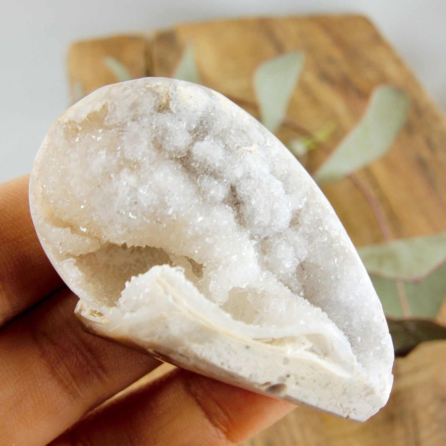 Incredible Shimmering Creamy White Large Druzy Spiralite Gemshell Geode Specimen From India8