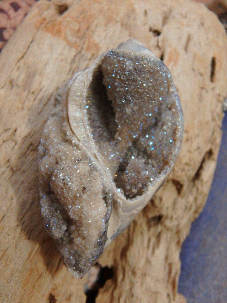  2 Dimension Druzy Shimmer Aura Infused Spiralite Gemshell Specimen From India