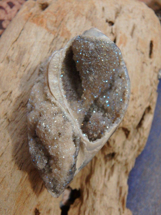  2 Dimension Druzy Shimmer Aura Infused Spiralite Gemshell Specimen From India