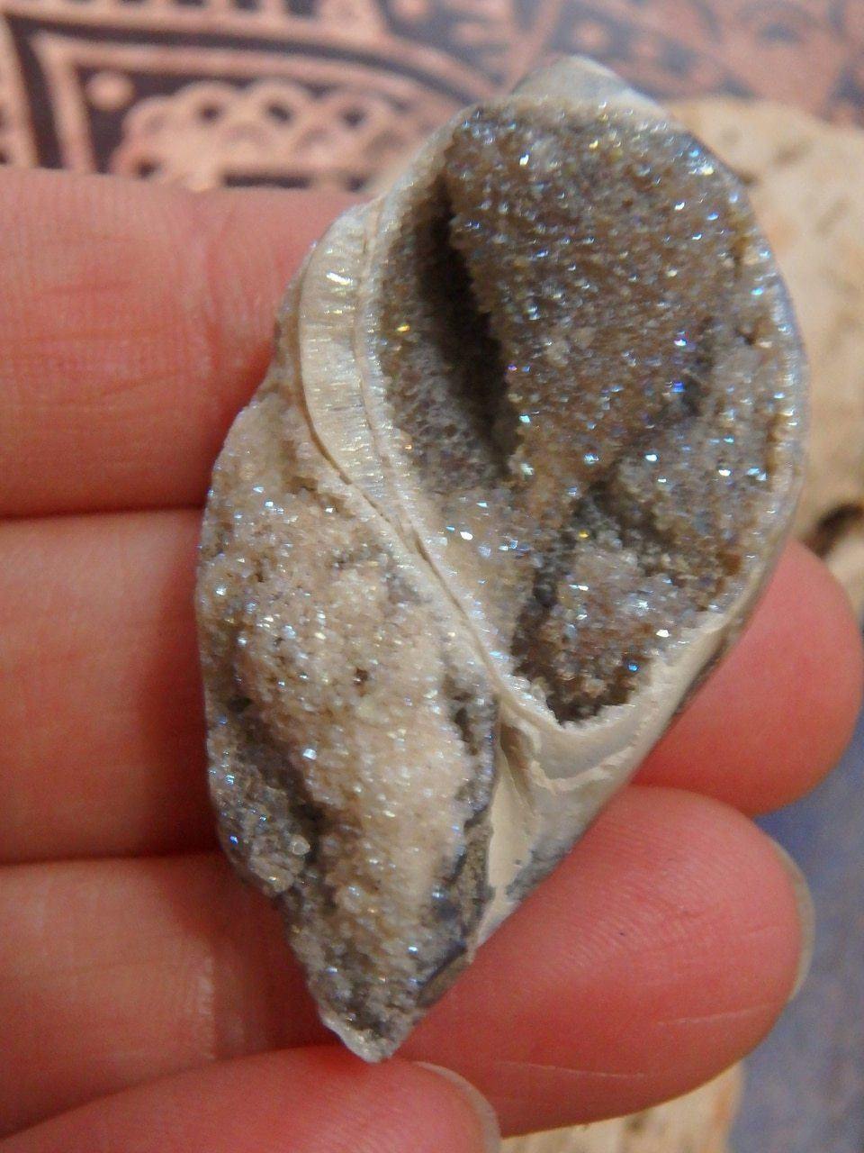  2 Dimension Druzy Shimmer Aura Infused Spiralite Gemshell Specimen From India
