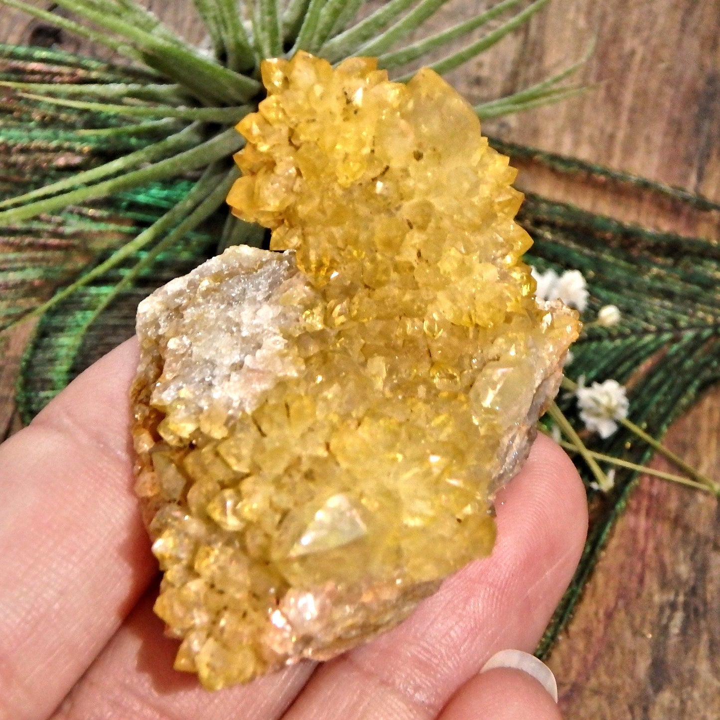  Completely Natural Golden Citrine Sparkly Spirit Quartz Cluster 1