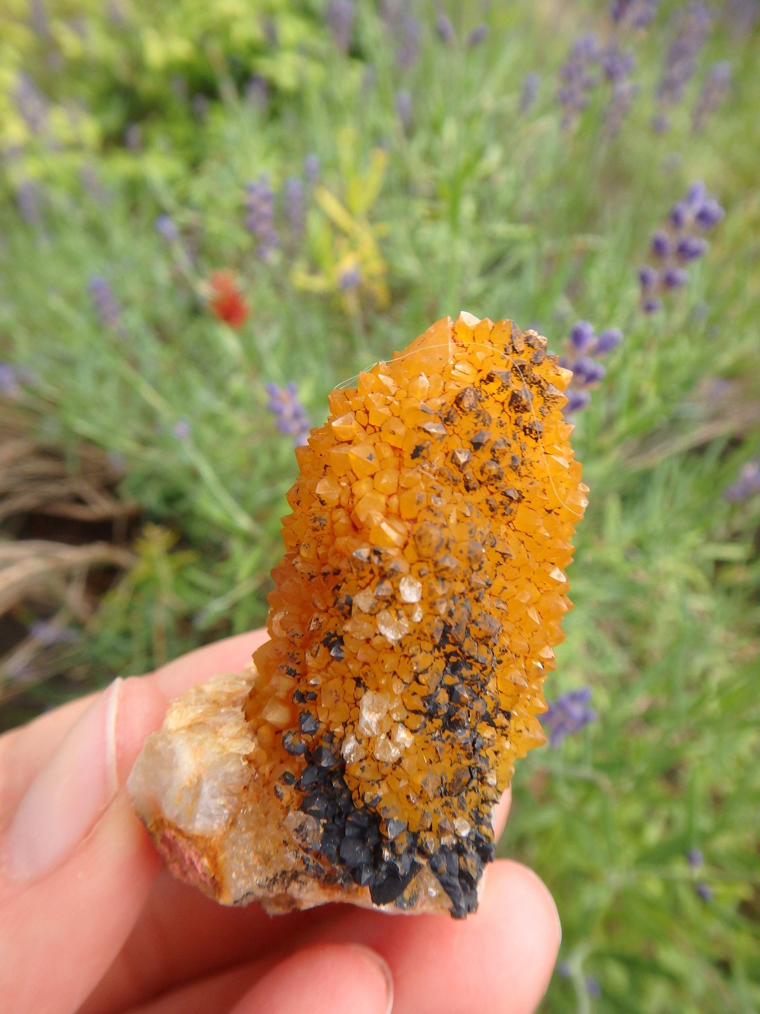  Awesome Natural Citrine Spirit Quartz Point From South Africa 1
