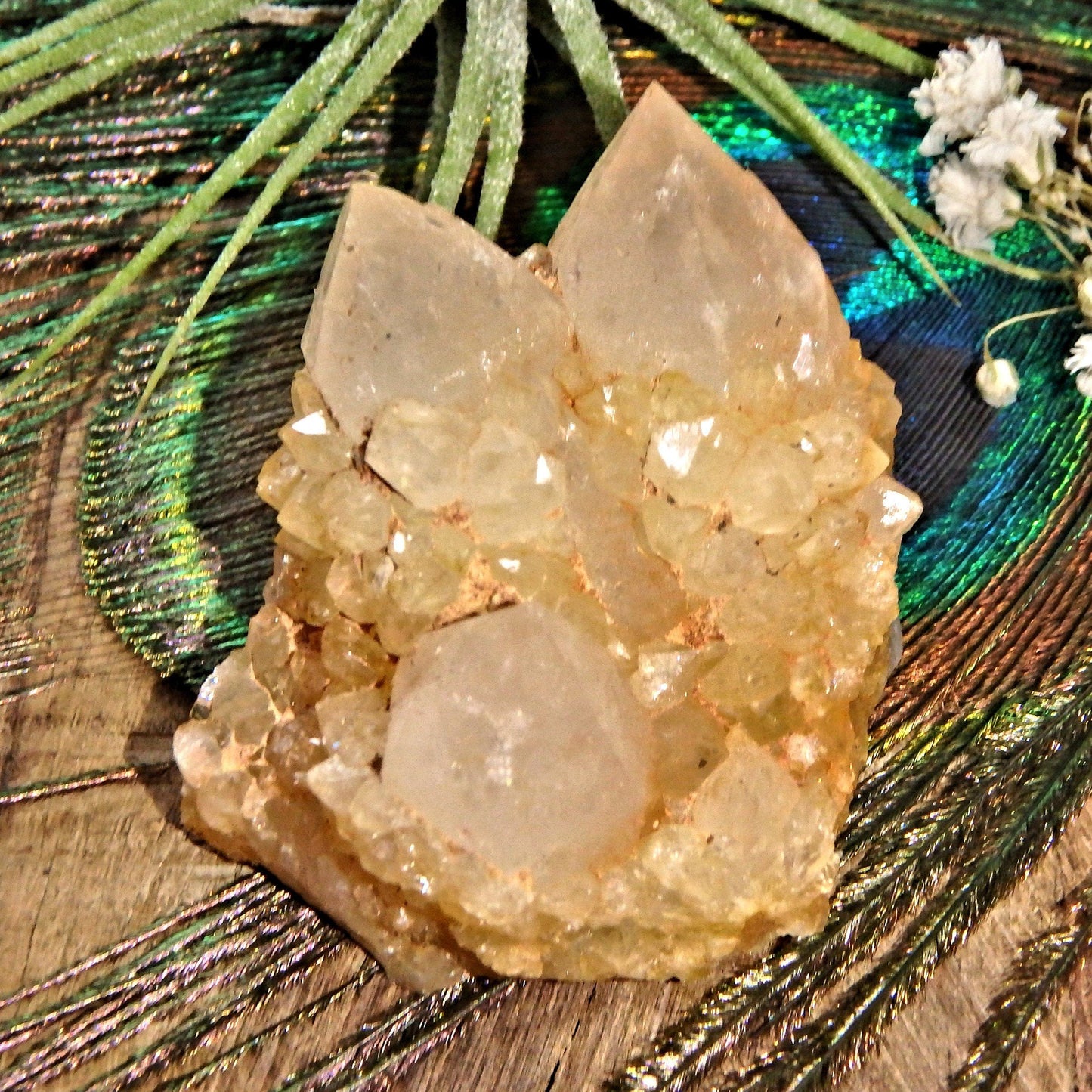  Completely Natural Golden Citrine Sparkly Spirit Quartz Cluster 2