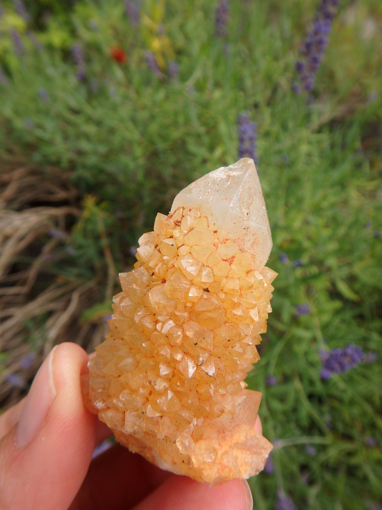  Awesome Natural Citrine Spirit Quartz Point From South Africa 3