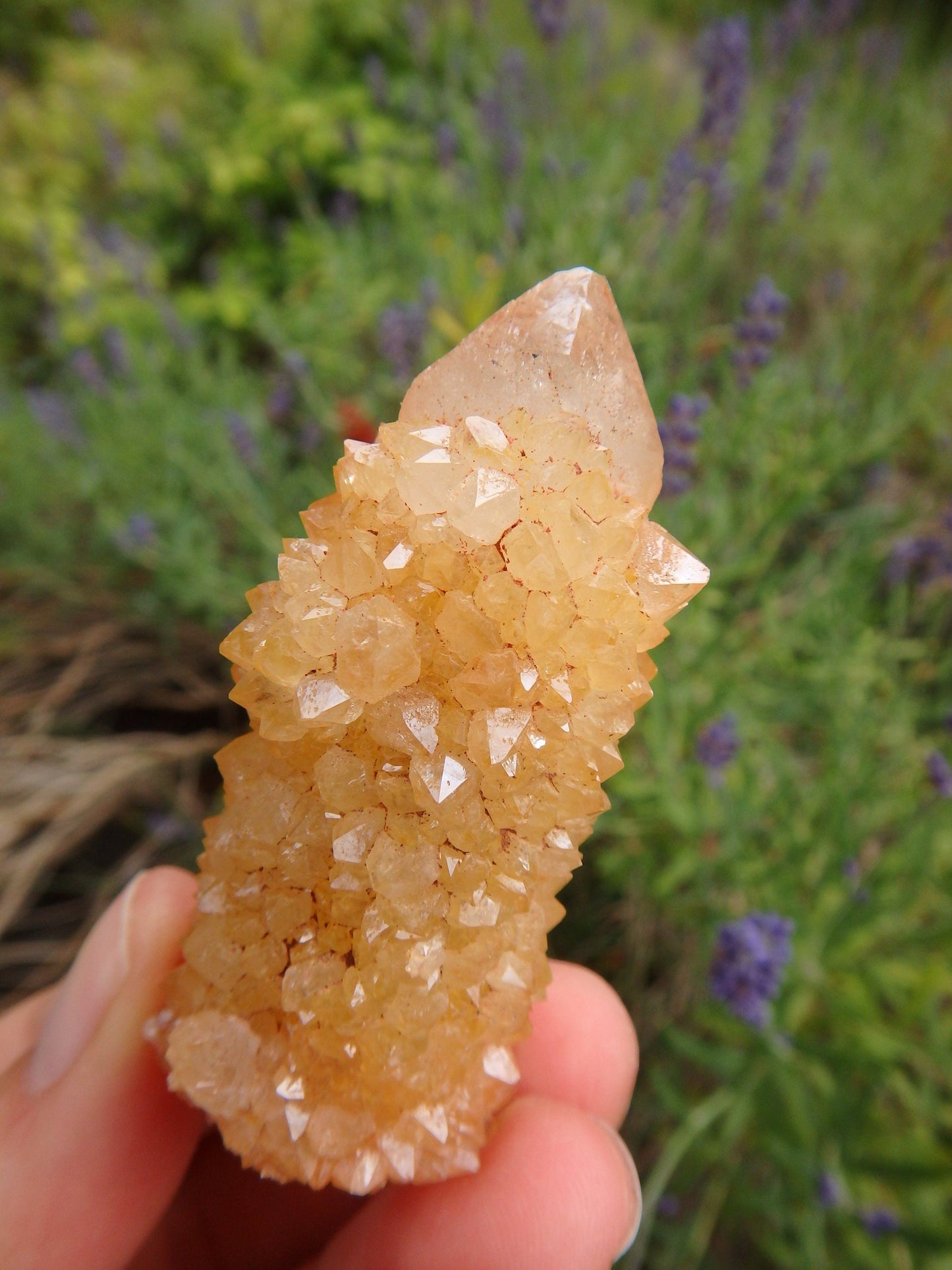  Awesome Natural Citrine Spirit Quartz Point From South Africa 2