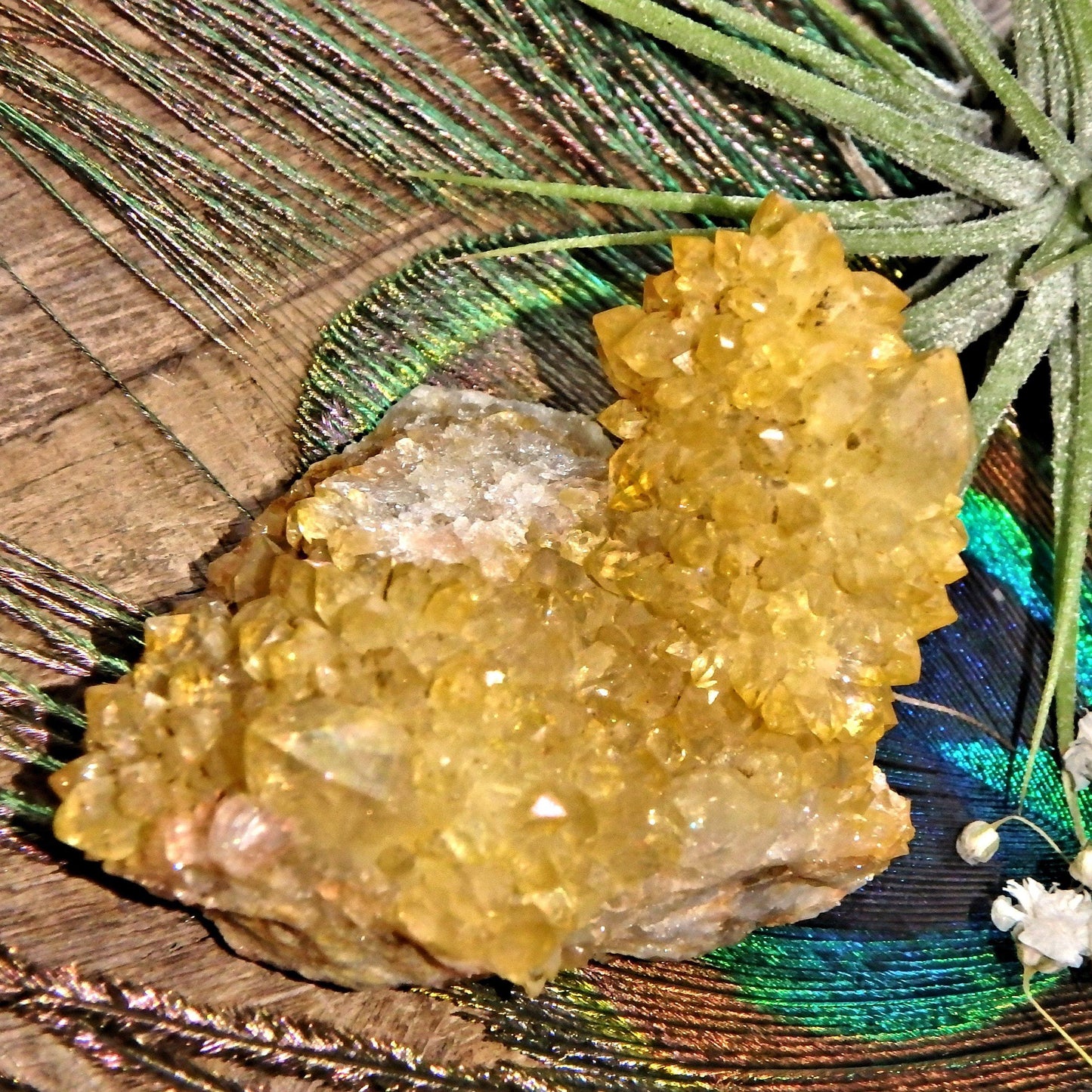  Completely Natural Golden Citrine Sparkly Spirit Quartz Cluster 1