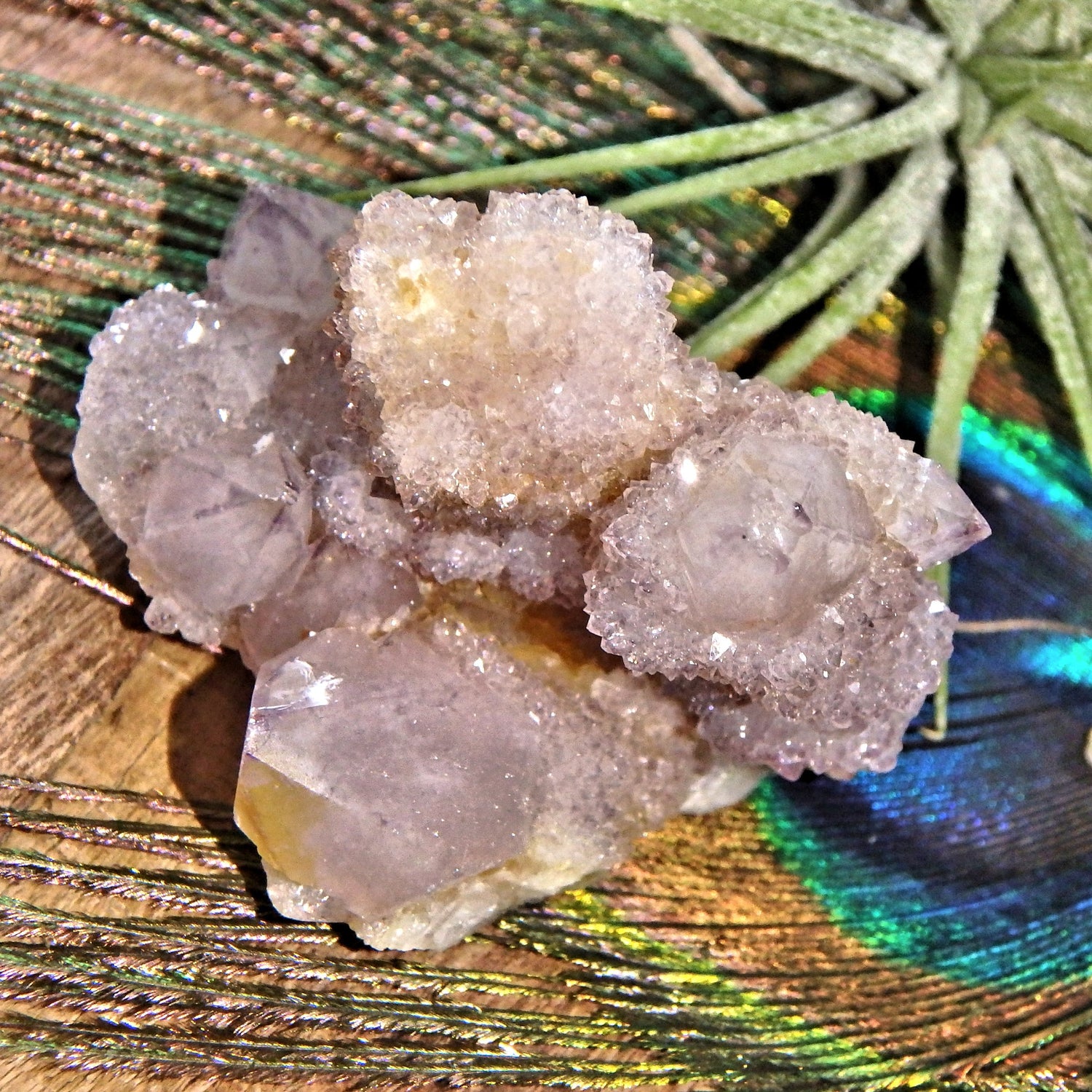 Multi Point Sparkling Ametrine Spirit Quartz Cluster - Earth Family Crystals