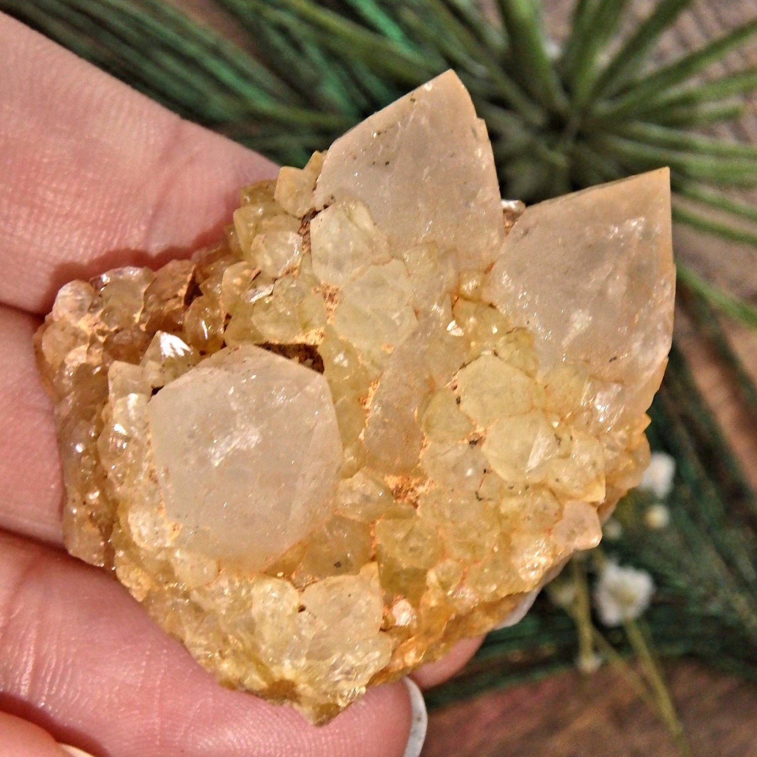  Completely Natural Golden Citrine Sparkly Spirit Quartz Cluster 2