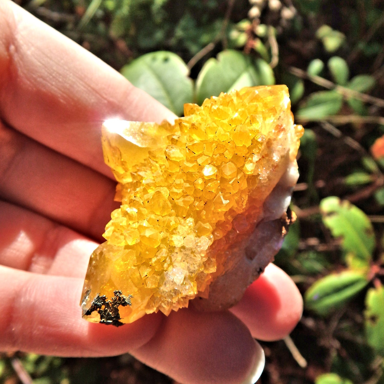 Natural Golden Flame Citrine Spirit Quartz Sparkle Cluster From South Africa - Earth Family Crystals