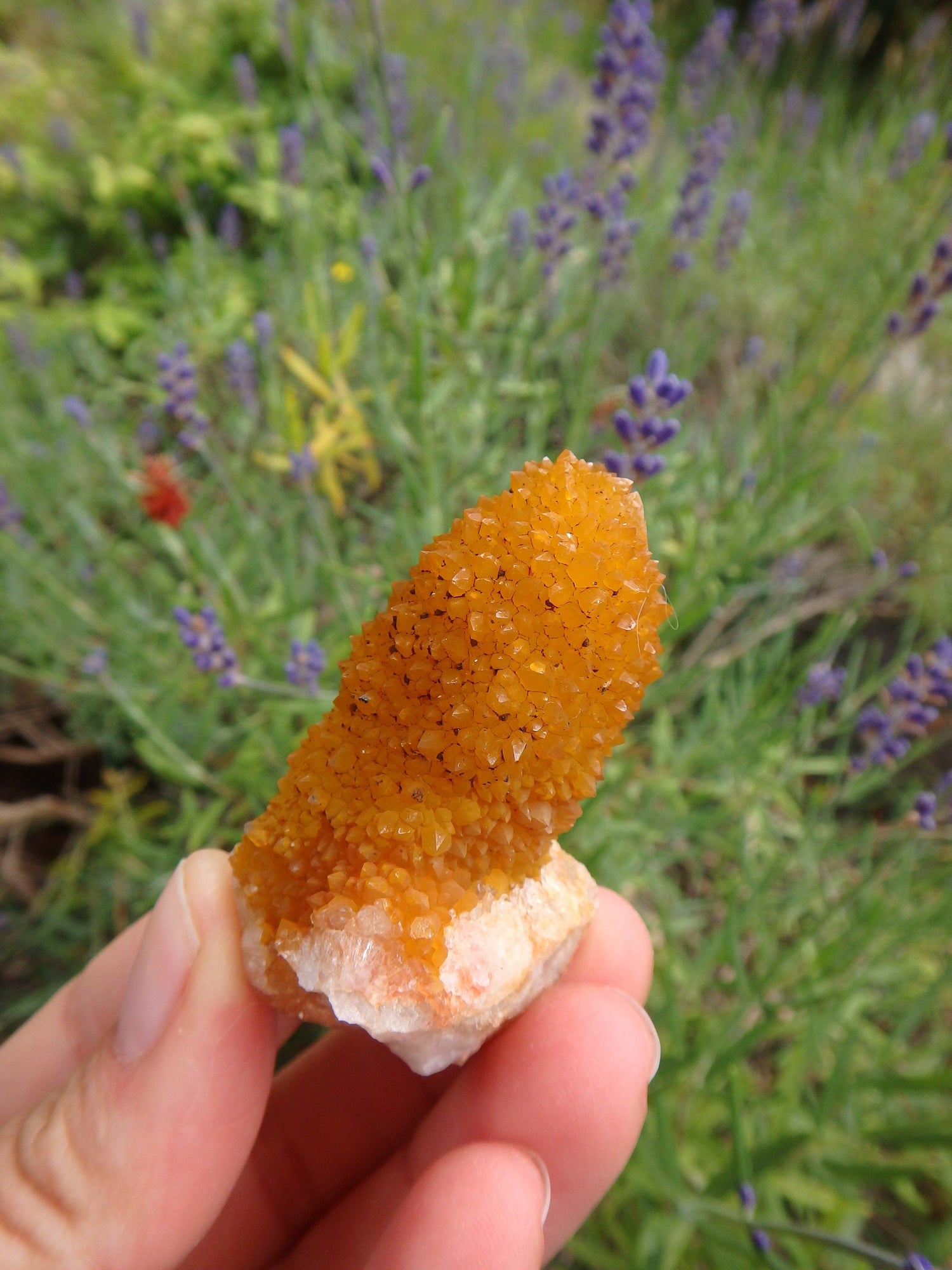  Awesome Natural Citrine Spirit Quartz Point From South Africa 1