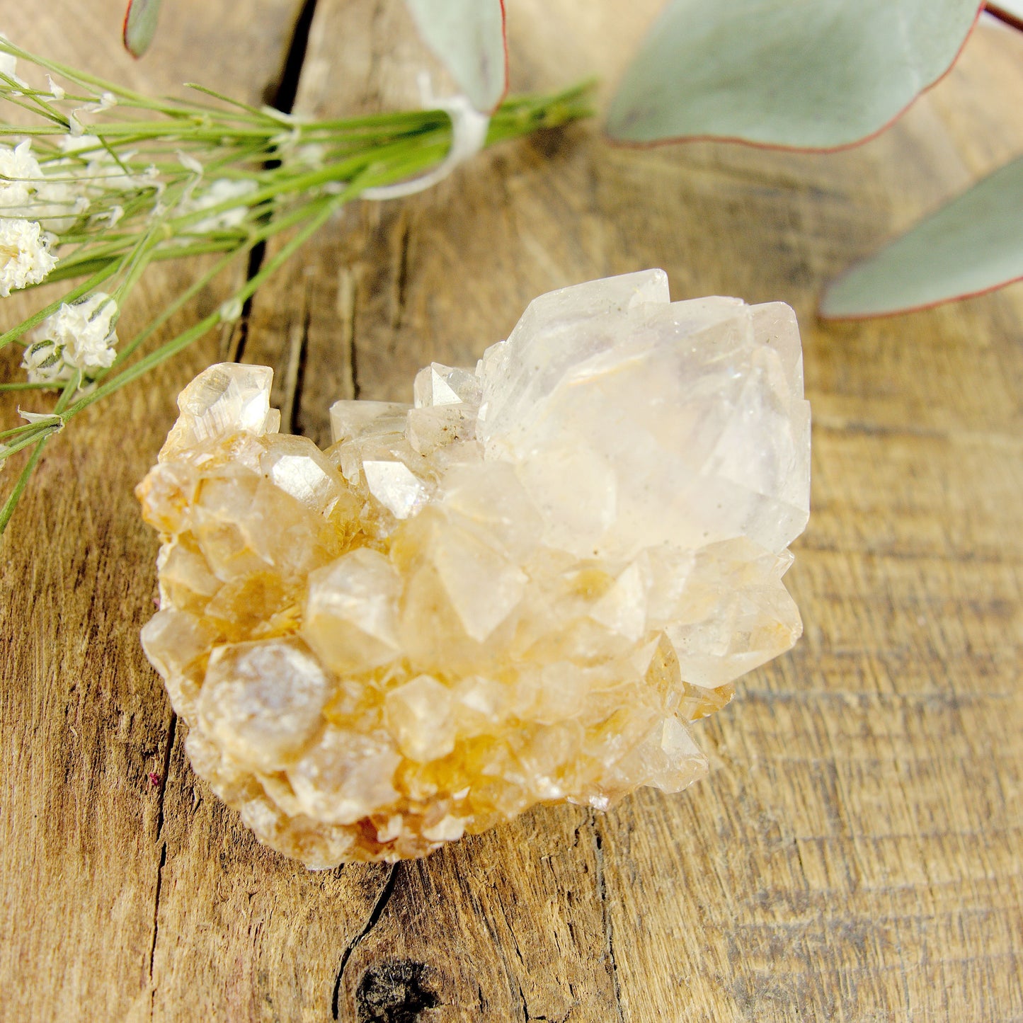 Phantom Included Purple Ametrine Spirit Quartz Cluster #1 - Earth Family Crystals