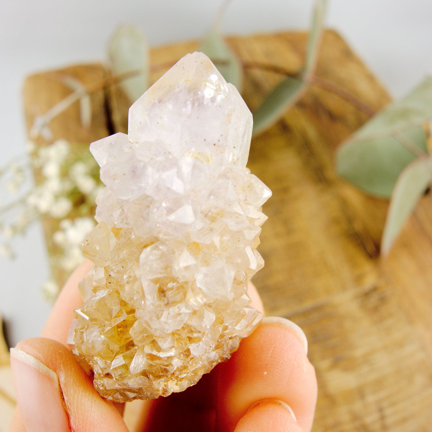 Phantom Included Purple Ametrine Spirit Quartz Cluster #2 - Earth Family Crystals