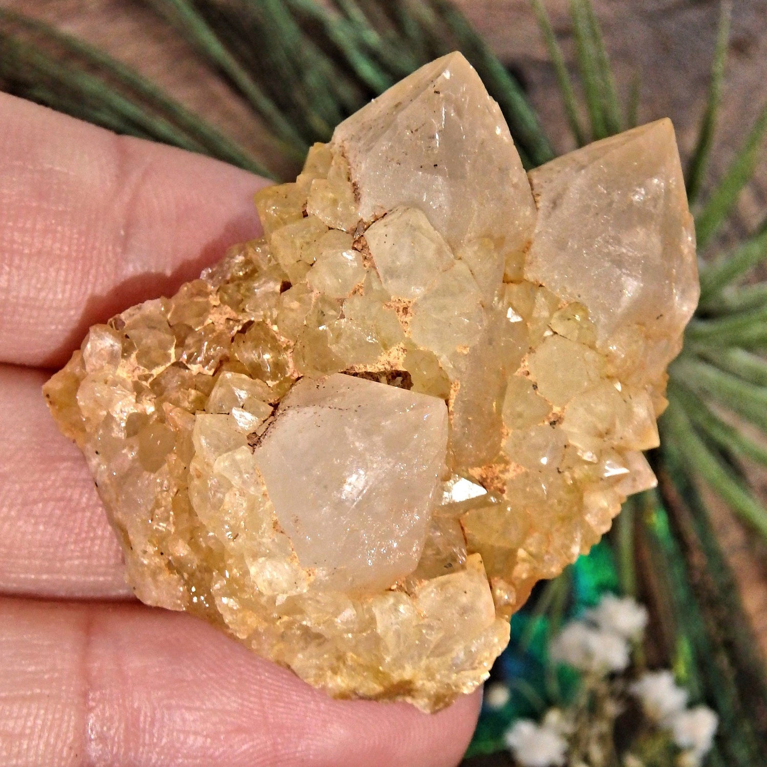  Completely Natural Golden Citrine Sparkly Spirit Quartz Cluster 2