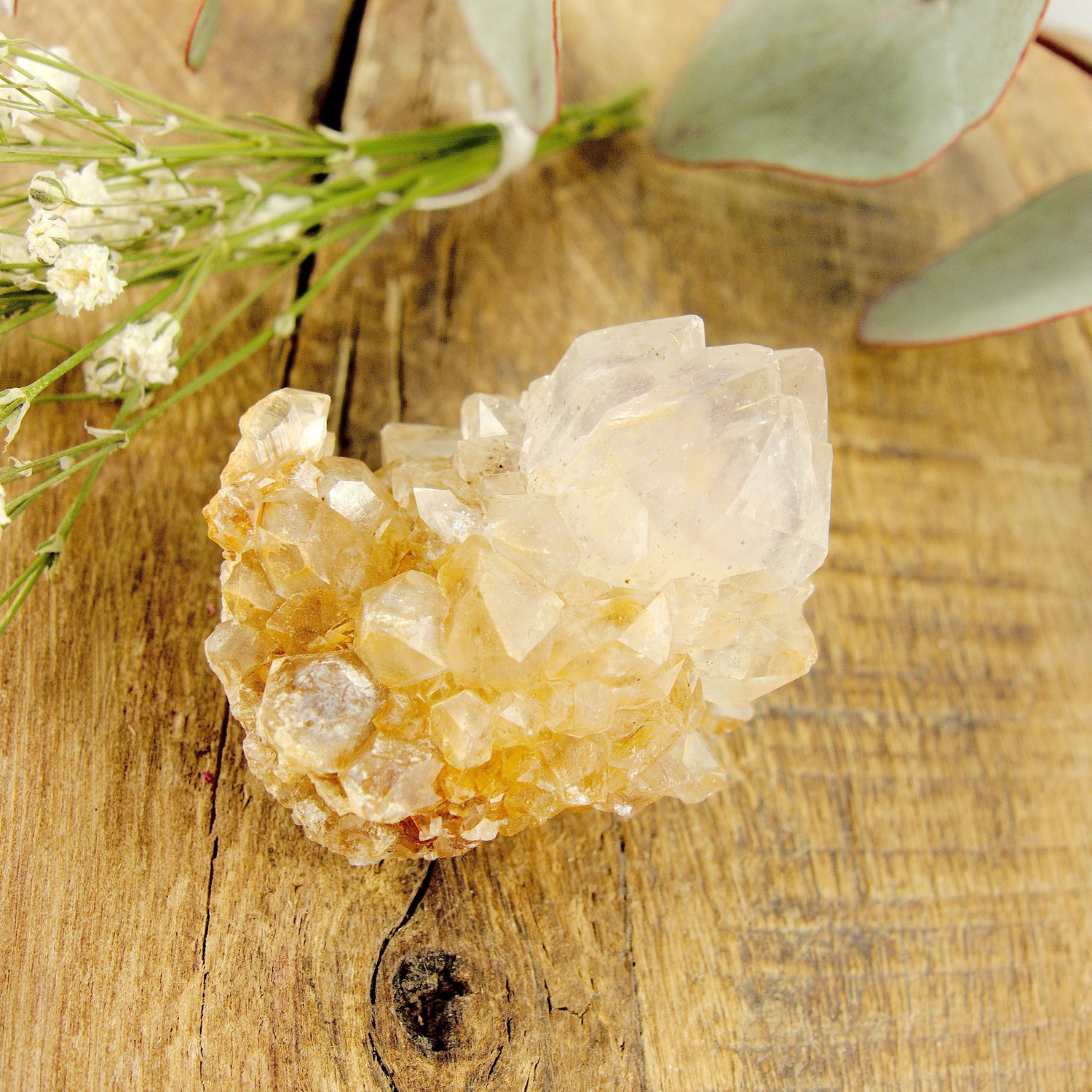 Phantom Included Purple Ametrine Spirit Quartz Cluster #1 - Earth Family Crystals