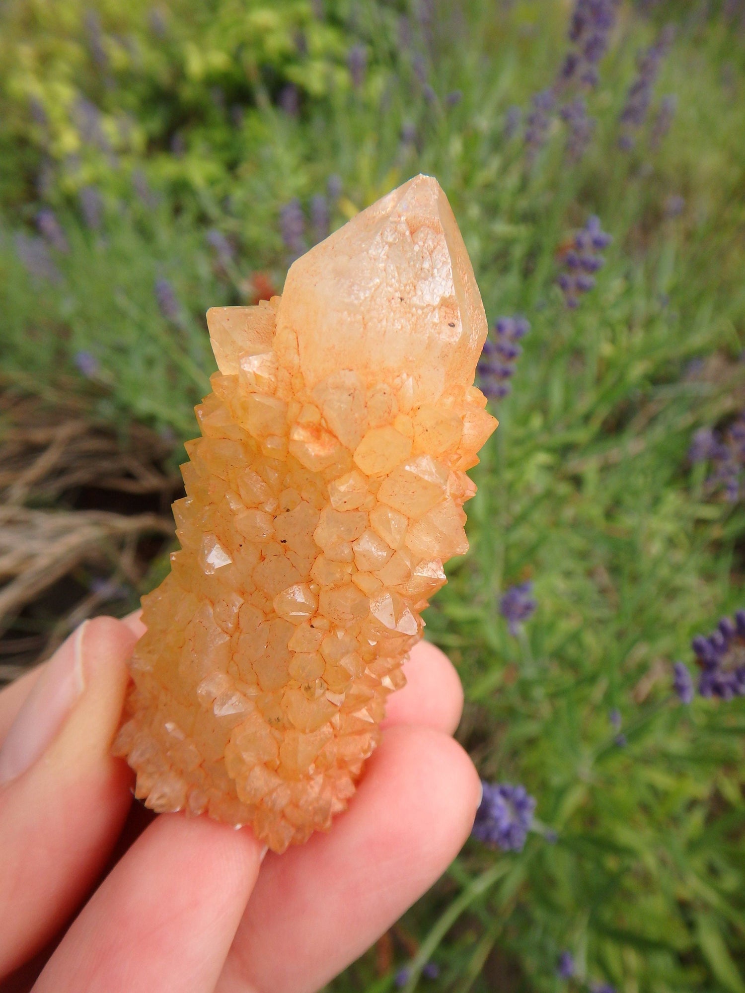  Awesome Natural Citrine Spirit Quartz Point From South Africa 2
