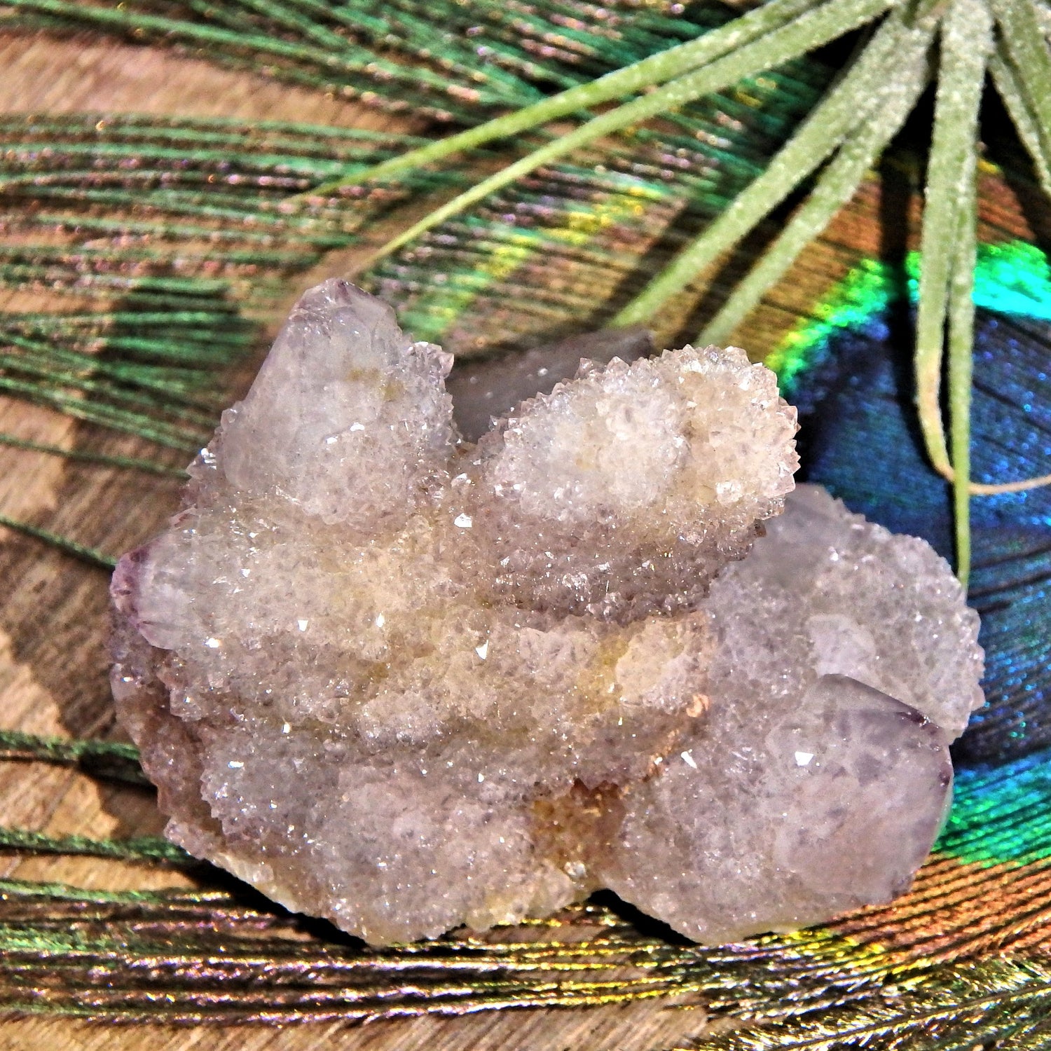 Multi Point Sparkling Ametrine Spirit Quartz Cluster - Earth Family Crystals