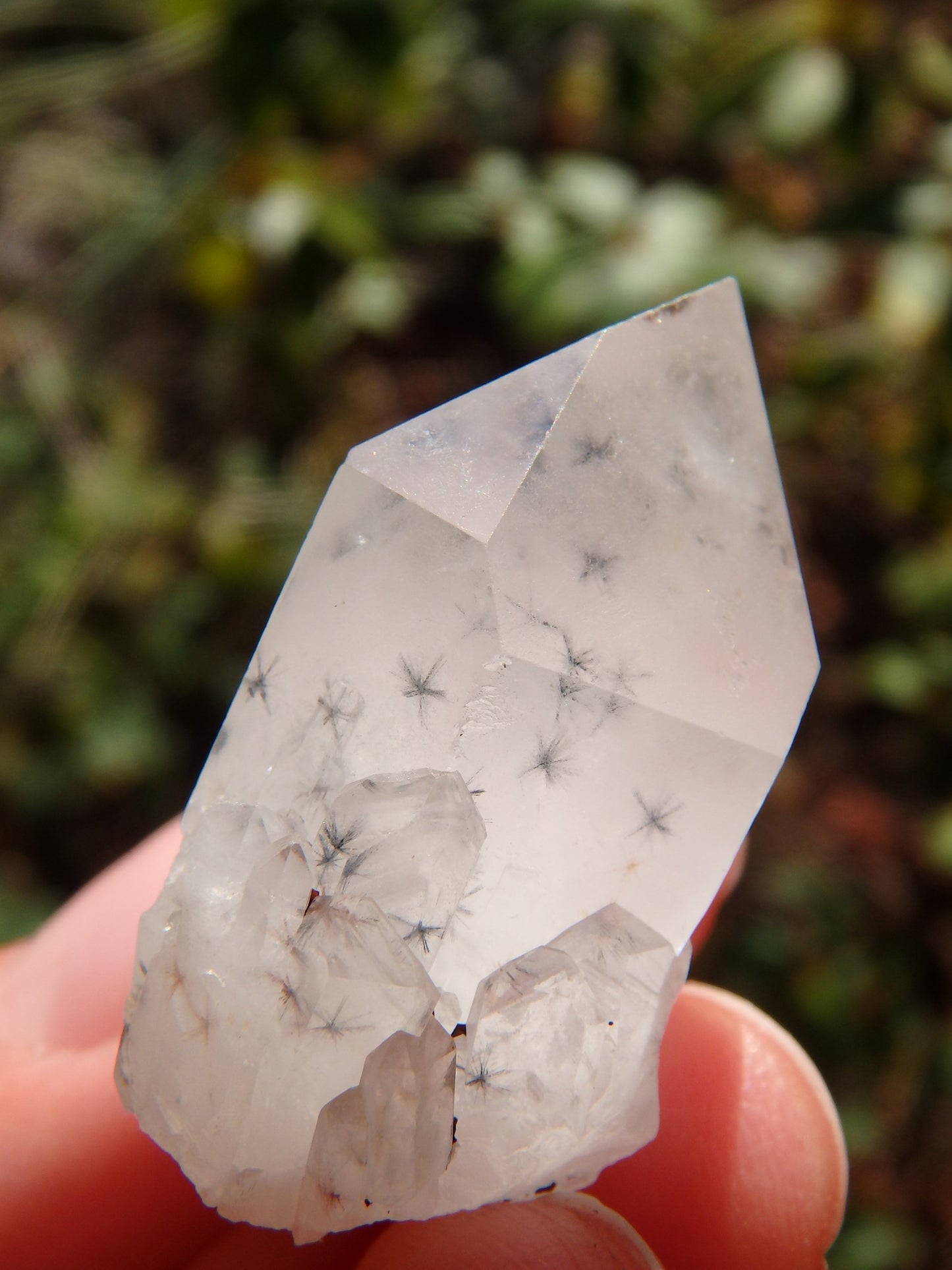 Natural Starbursts Rare Star Hollandite Dainty Elestial Collectors Point From Madagascar - Earth Family Crystals
