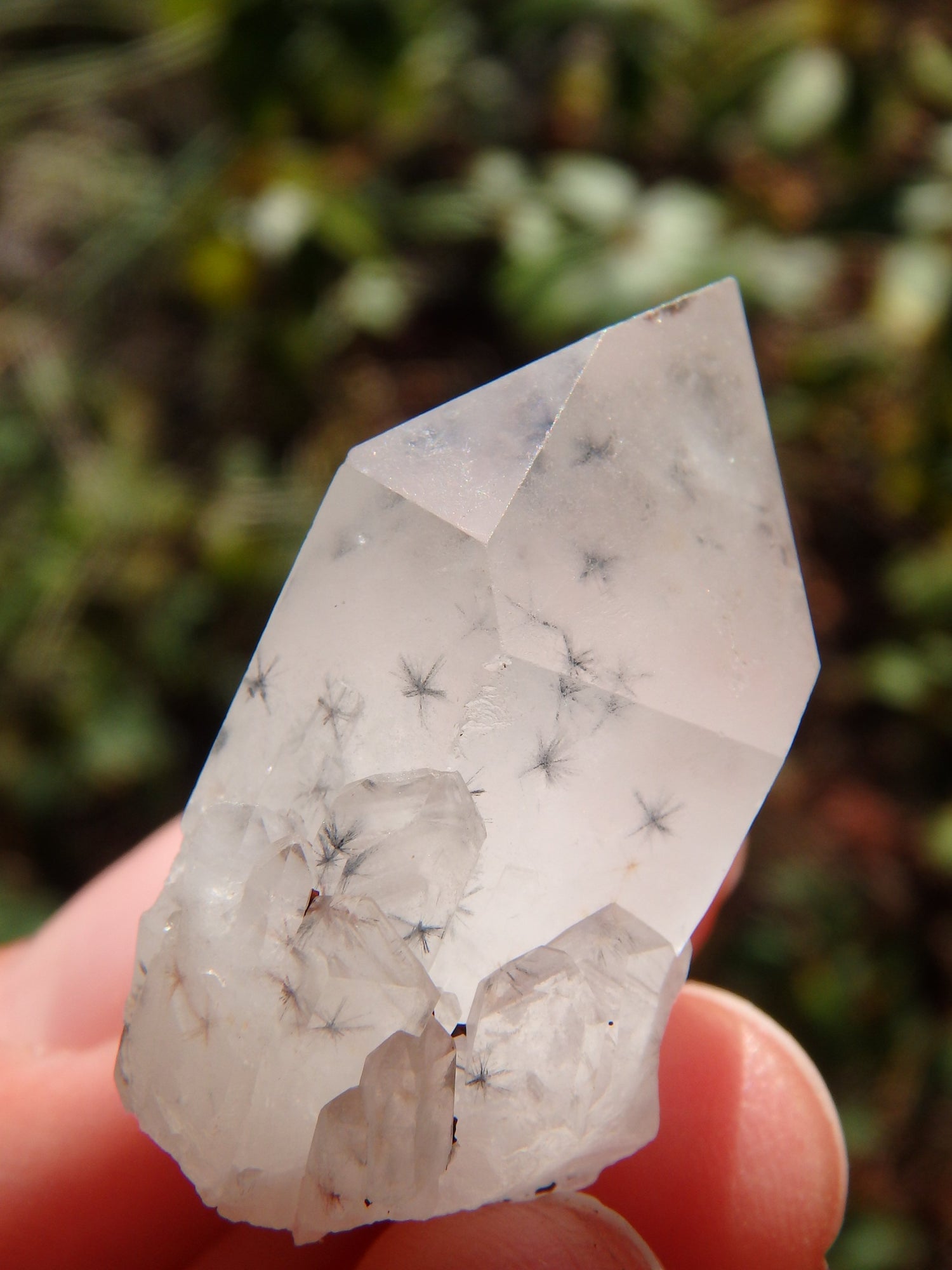 Natural Starbursts Rare Star Hollandite Dainty Elestial Collectors Point From Madagascar - Earth Family Crystals