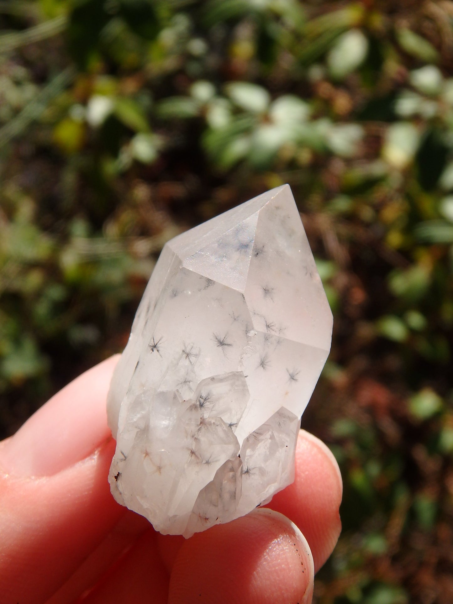 Natural Starbursts Rare Star Hollandite Dainty Elestial Collectors Point From Madagascar - Earth Family Crystals